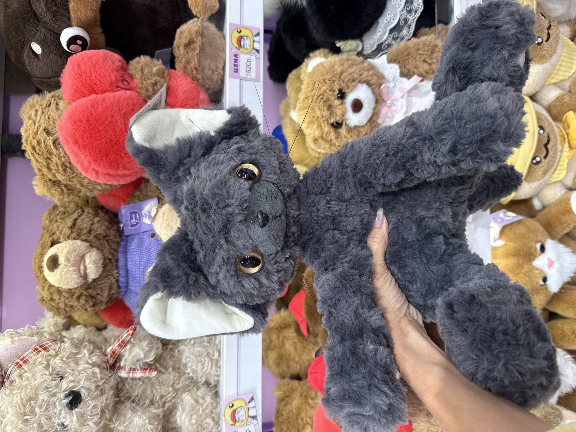 A dark gray plush cat toy with large, round, golden eyes and white ear insides is held by a person's hand in the foreground. The cat has long, thin whiskers and its arms are outstretched. Behind the cat, on a shelf in a store, are other stuffed animals including several teddy bears. One teddy bear on the shelf wears a purple knitted sweater. A price tag in Russian, reading "ЦЕНА 1620р.", is visible on the shelf. The store appears to be a toy shop. This image was taken in Yaroslavl, Russia.