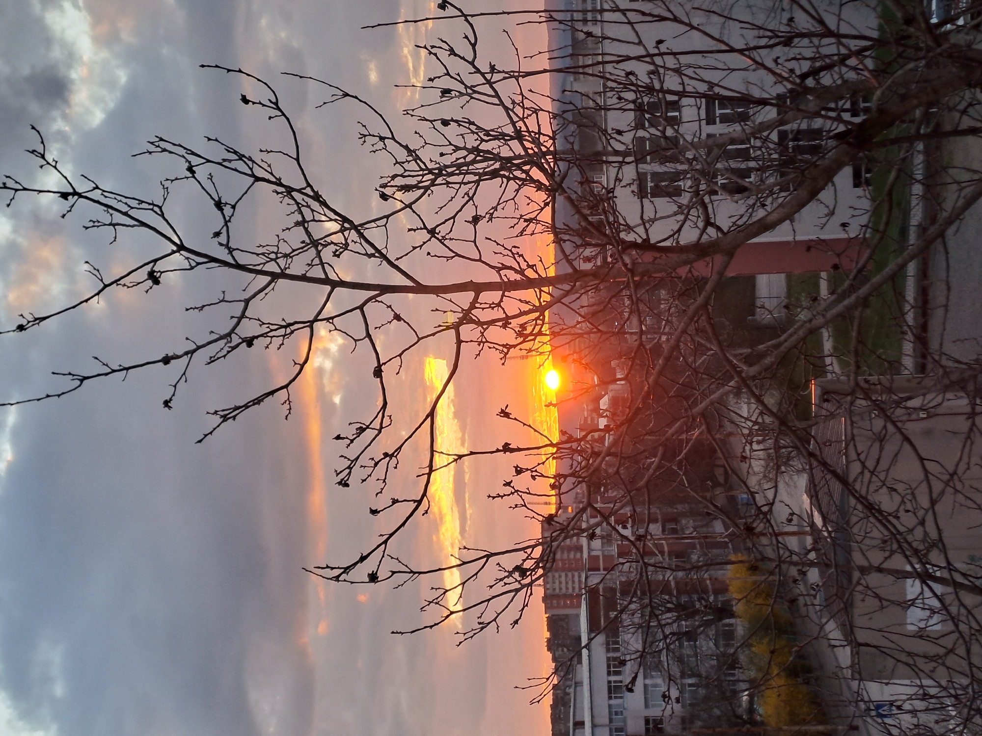 The image depicts a sunset scene observed through the bare branches of a tree. The sun is positioned slightly above the horizon, emitting a bright orange glow. The sky displays a gradient of colors, transitioning from gray clouds above to orange and yellow hues near the horizon. Buildings are visible in the background, suggesting an urban setting. The tree branches, with small buds, frame the sunset. The location is an unknown city.
