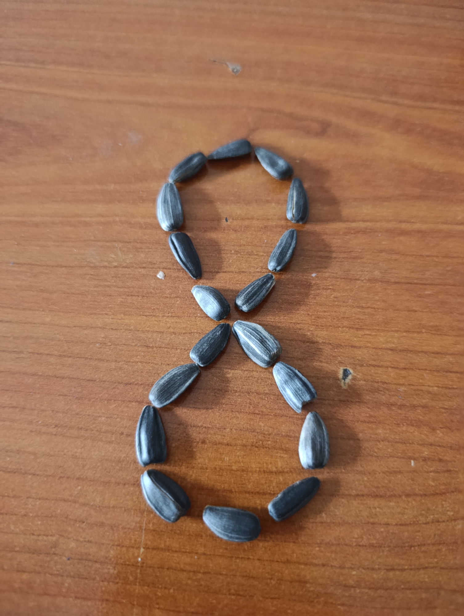 A figure-eight shape is formed by approximately 20 sunflower seeds arranged on a wood-grained surface. The individual sunflower seeds are elongated and dark with visible stripes. The background is a smooth, light-brown wooden surface. The scene appears to be indoors, with the focus solely on the arrangement of the sunflower seeds. No people or identifying location features from Іргелі ауылдық округі, Kazakhstan are visible in the image.