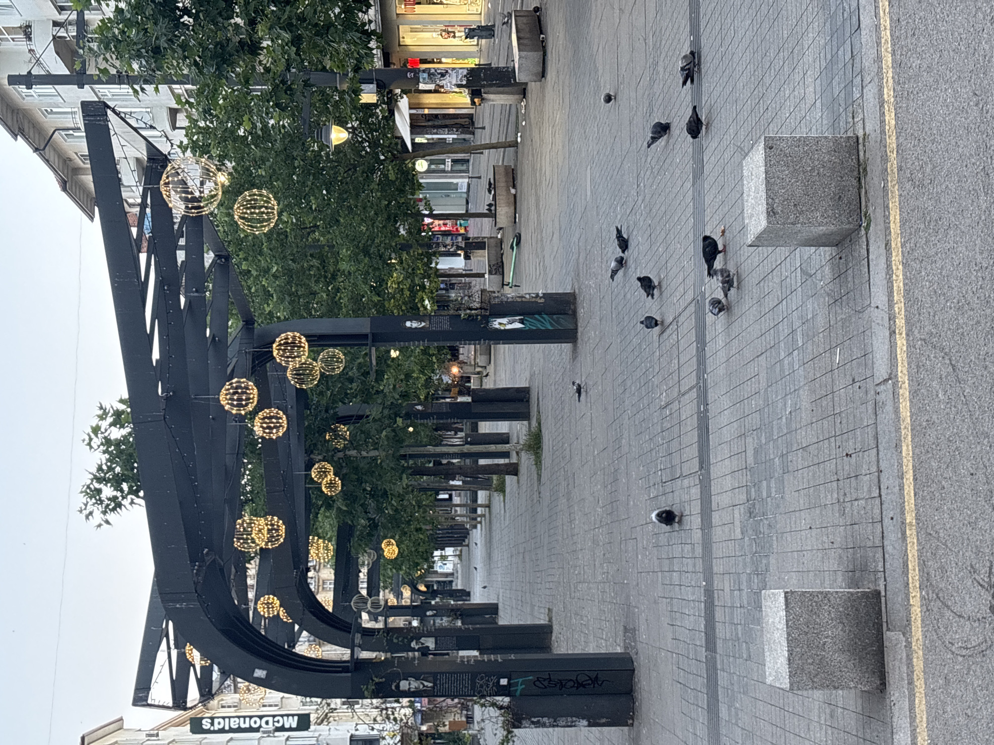 The image depicts a pedestrian walkway in Sofia, Bulgaria, likely in a commercial area, judging by the presence of storefronts. A black, arched metal structure, possibly a canopy or pergola, stretches along the walkway, adorned with numerous spherical, illuminated light decorations. On either side of the walkway, trees are planted in rows, interspersed with vertical poles that hold lighting fixtures and display framed portraits or information. The ground is paved with grey square tiles. Several pigeons are scattered across the walkway, some pecking at the ground, others walking or standing. In the foreground, there are two large, grey granite cube-shaped bollards. Storefronts with various displays are visible in the background, and a sign for "McDonald's" is present on the left side of the image. The sky is overcast, suggesting it is either early morning or late evening.
