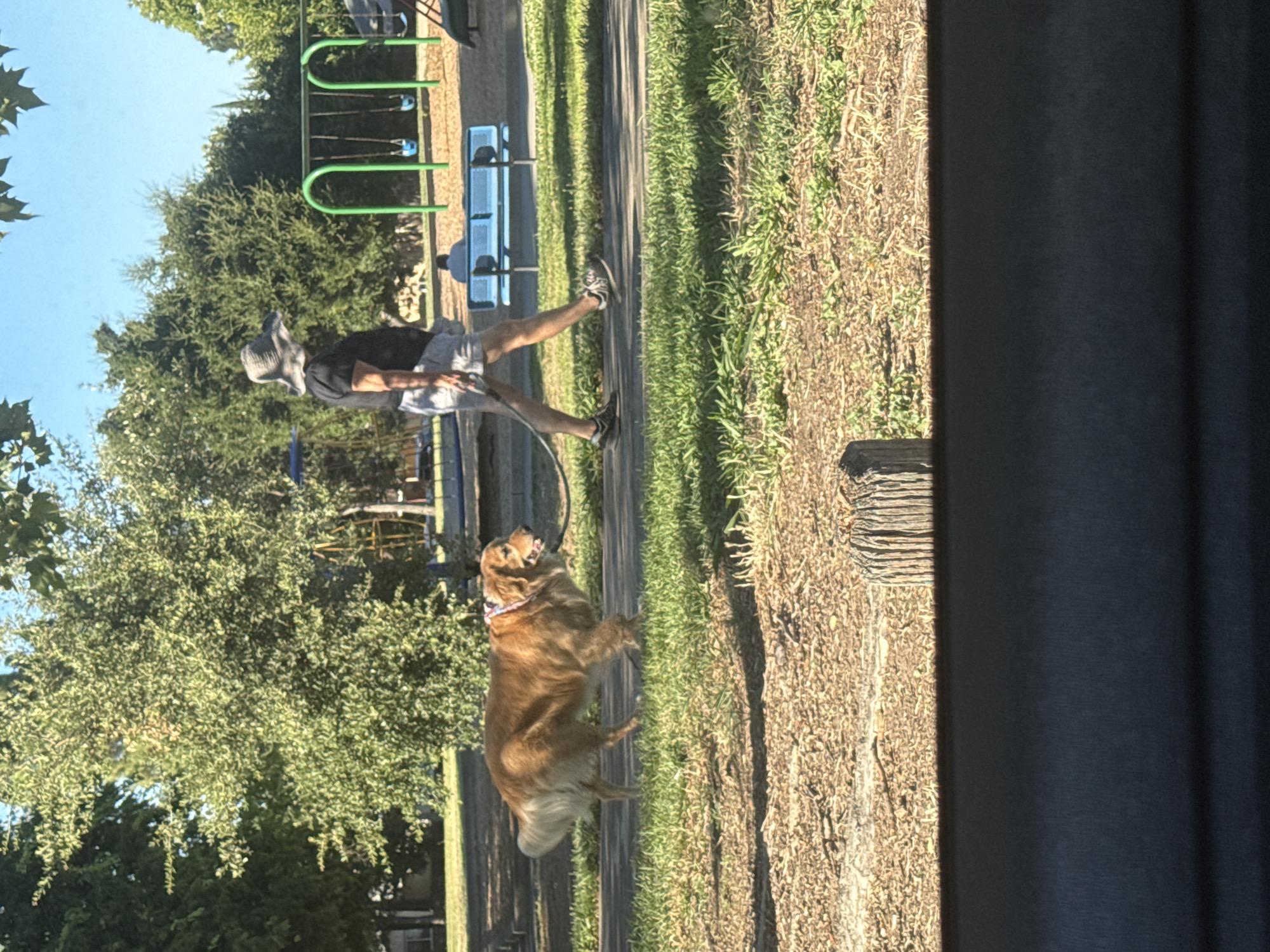 A medium shot captures a golden retriever being walked by a person in a park. The dog, on a leash, is walking on a paved path, with its tail wagging. The person, wearing a hat and shorts, walks beside the dog. In the background, a playground with swings and other structures is visible, along with trees and a blue bench. The scene is set on a sunny day, with shadows indicating the time of day. The location is a park in Sacramento, United States.