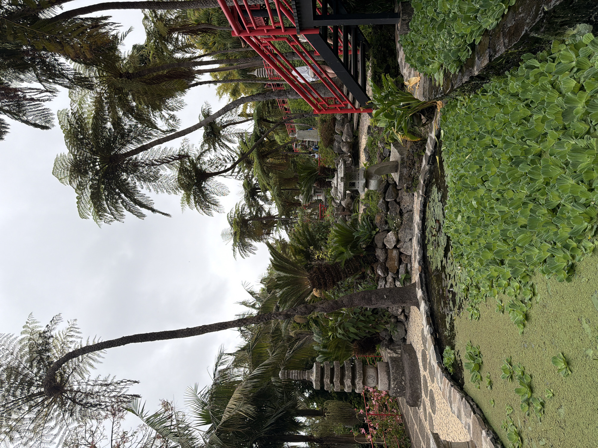 The image depicts a tranquil garden scene in Funchal, Portugal, likely at the Monte Palace Tropical Garden, known for its Japanese and exotic influences. In the foreground, a pond is densely covered with lush green aquatic plants. To the left, a stone pagoda stands beside a winding pathway with a decorative border. Beyond the pond, the landscape features a variety of trees, including tall ferns with frond-like leaves and cycads. A vibrant red staircase with black metal railings ascends on the right side of the frame, leading to an elevated walkway. Several stone lanterns are strategically placed throughout the garden, adding to the serene, oriental ambiance. The sky is overcast, suggesting a diffused natural light. A few individuals can be seen in the background, appearing to stroll through the garden, with one person visible on the red staircase.