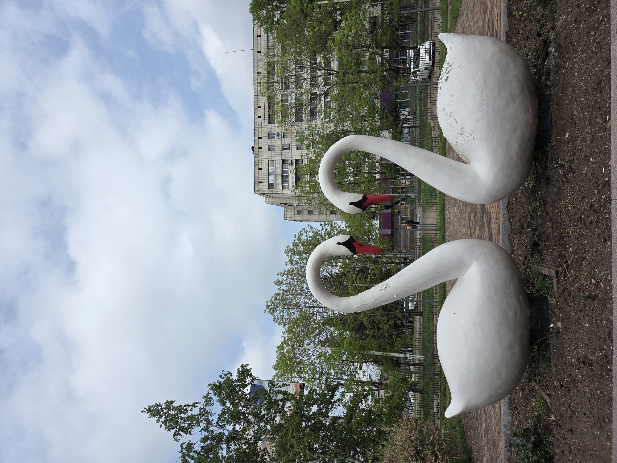 Two swan sculptures with white bodies and red beaks are positioned in a city park in Birobidzhan, Russia. The swans are placed on a brick walkway with soil and vegetation around them. Behind the swans, trees and a multi-story building are visible. The sky is cloudy with patches of blue.