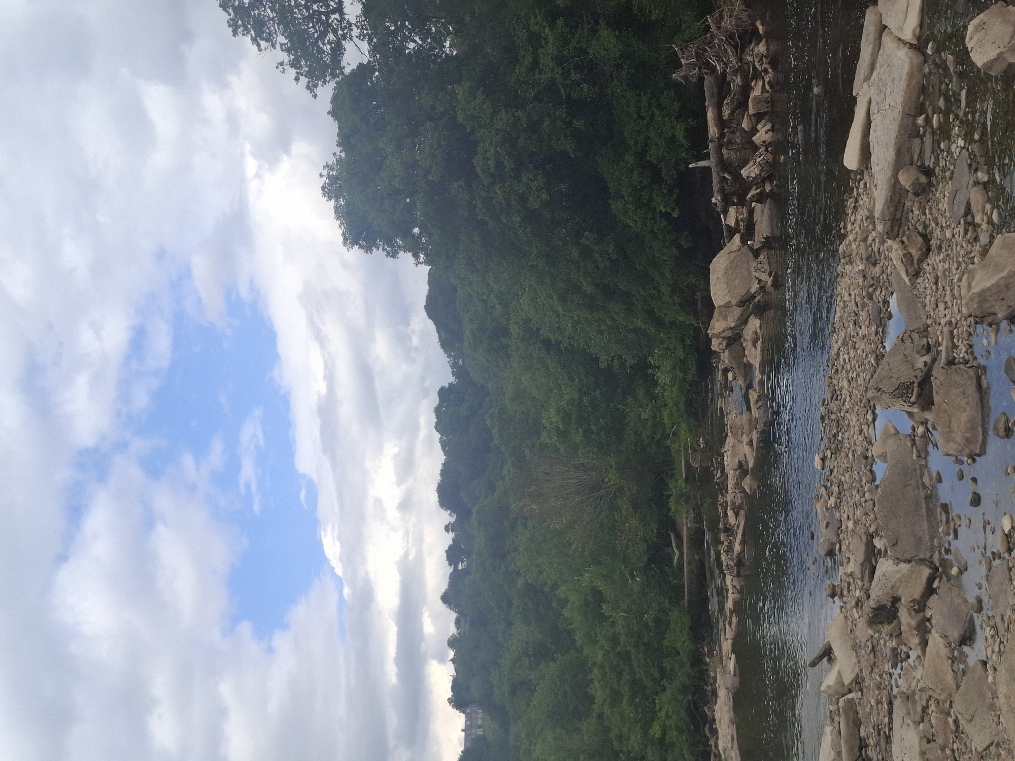This is a vertically oriented, eye-level photograph of a rocky riverbank leading into a body of water. Dense green foliage covers a hillside in the background, which is partially obscured by the trees and vegetation. A bright blue sky with white clouds is visible on the left side of the image. The riverbank is lined with a variety of rocks and stones of different sizes. The water appears calm with gentle ripples. There is no discernible activity or event taking place. The time of day appears to be daytime, with the sky suggesting fair weather. The presence of lush vegetation and a river suggests a natural, possibly rural or park-like setting. There is no visible text in the image.