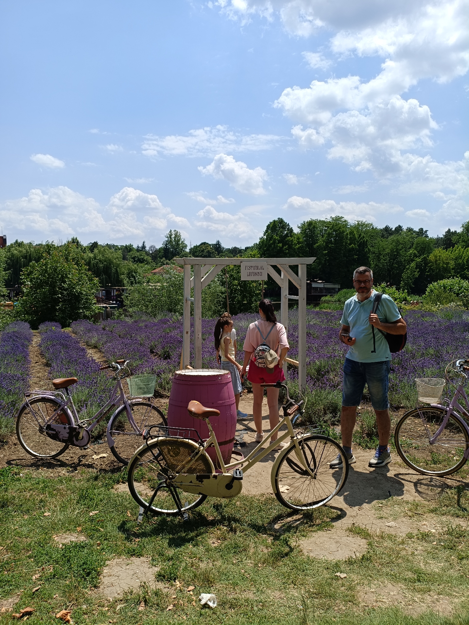 In Comana, Romania, a group of people are gathered near a lavender field. A man in a light blue polo shirt and denim shorts stands holding a smartphone and a backpack, looking towards the camera. Beside him, two girls, one wearing a pink t-shirt and the other a yellow tank top, stand near a large pink barrel. In the foreground, several bicycles are parked: a light-colored one with a basket in front, a light purple one to its left, and another light purple bicycle to the far right. The background features rows of vibrant purple lavender stretching into the distance, bordered by lush green trees and a bright blue sky with scattered white clouds. A white wooden archway with a sign reading "FESTIVALUL LAVANDEI" is visible behind the people and bicycles. The scene appears to be an outdoor event or attraction, possibly related to a lavender festival.