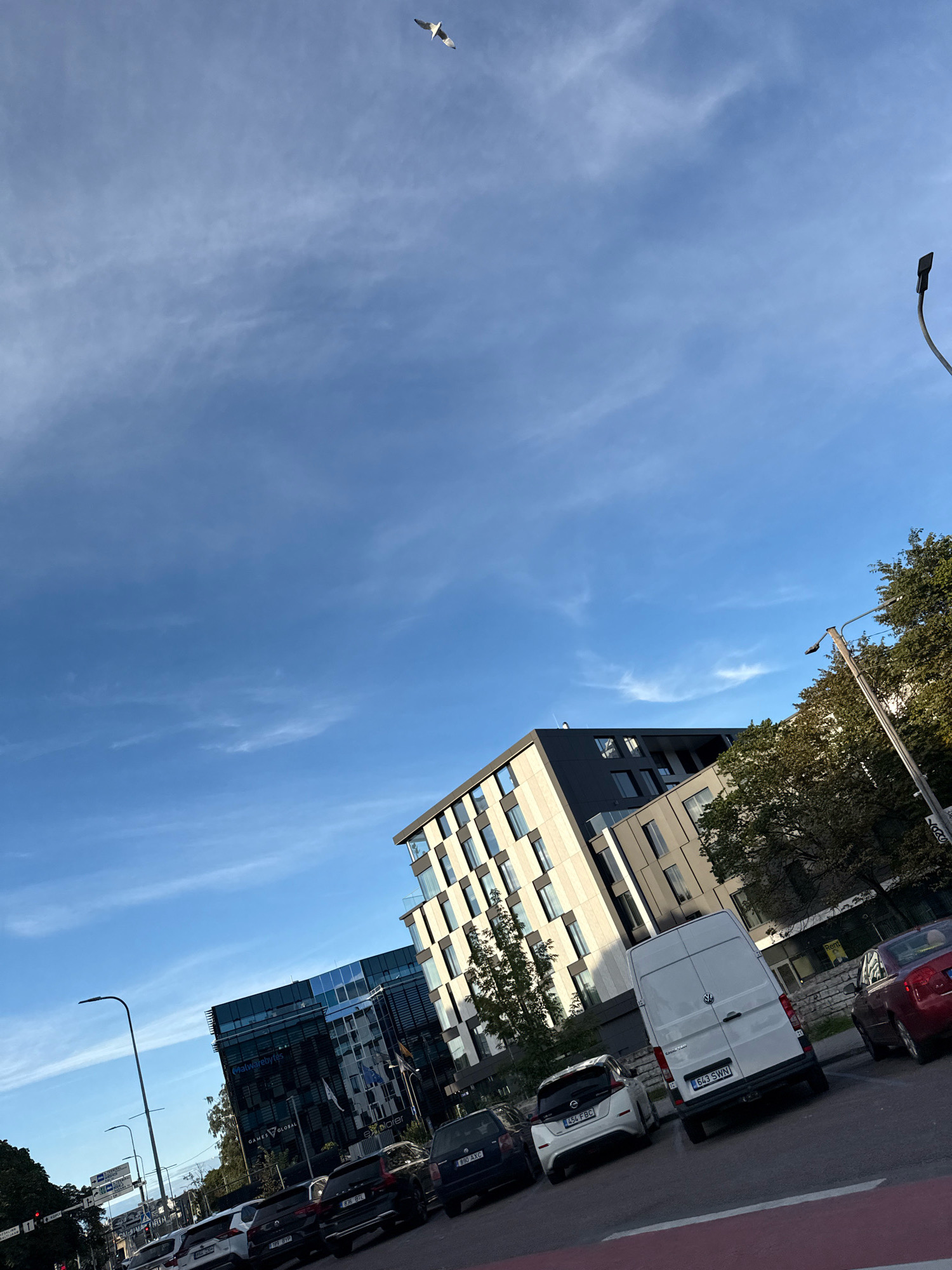 The image shows a street scene in Tallinn, Estonia, under a bright blue sky with wispy clouds. A bird is flying in the upper left quadrant of the image. In the foreground, there is a street with several parked cars, including a white van with license plate "643 SWN" and a white Nissan Leaf with license plate "454 FBC". Behind the parked cars, there are modern office buildings with glass facades and geometric architectural designs. Trees with green foliage are visible on the right side of the image. A lamppost is present in the middle right of the frame, and another lamppost is visible in the middle left. The scene appears to be a commercial or business district.