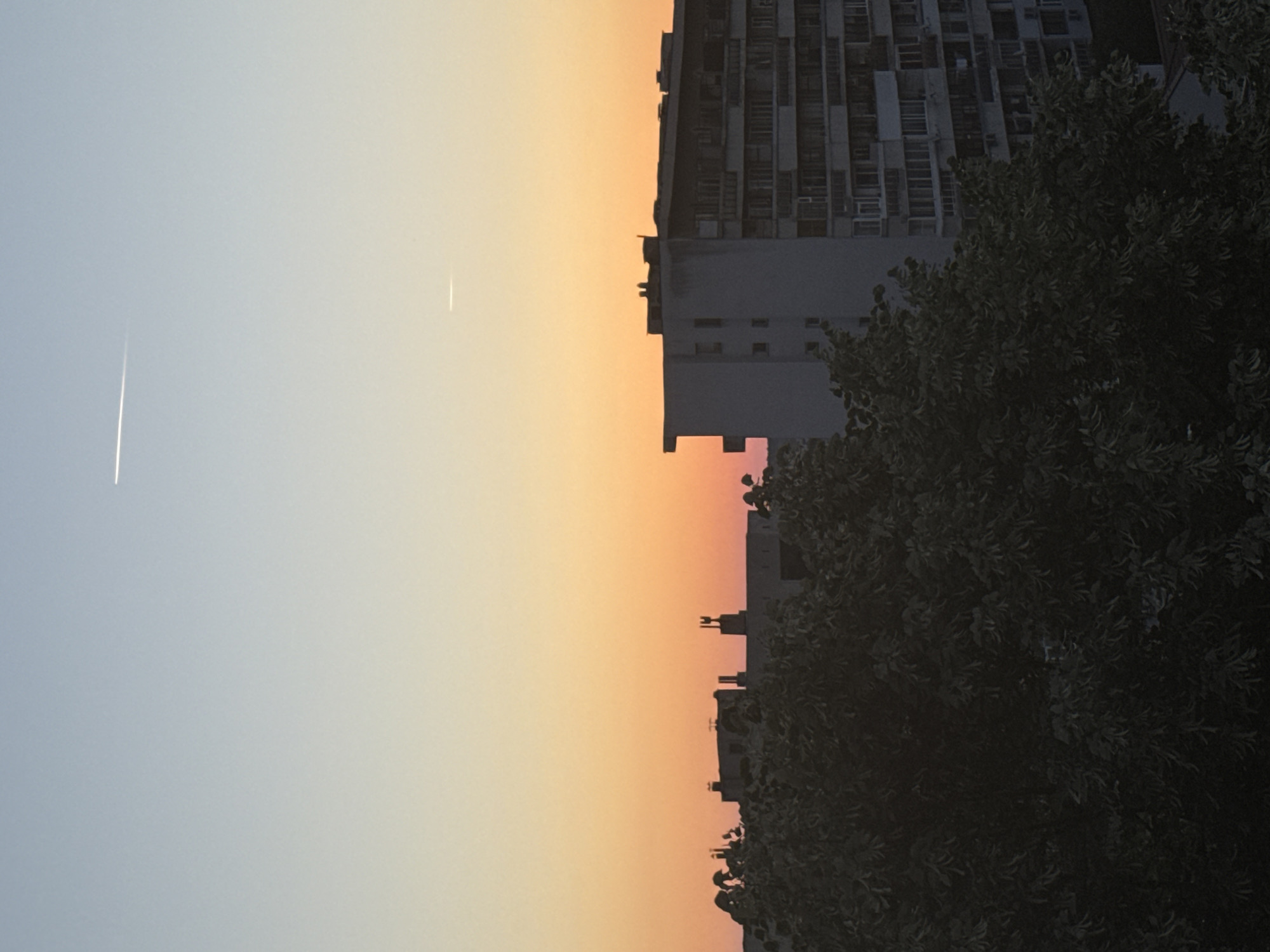 The image depicts a serene sunset scene over the city of Dobrich, Bulgaria. The sky transitions from a pale blue at the top to a warm orange and pink hue closer to the horizon. Two distinct contrails are visible, streaking across the sky, suggesting the presence of aircraft.
In the foreground, a dense canopy of dark green foliage, likely from trees, occupies the lower portion of the frame, obscuring the ground level. Behind the trees, the silhouettes of buildings are visible against the colorful sky. One prominent building, a multi-story apartment complex, stands out with its repetitive facade of windows and balconies. Other, less detailed buildings and structures, possibly residential or commercial, are also present. The overall impression is that of a typical urban landscape at dusk, with the natural beauty of the sunset juxtaposed against man-made structures. The image is captured from an elevated perspective, looking towards the horizon.