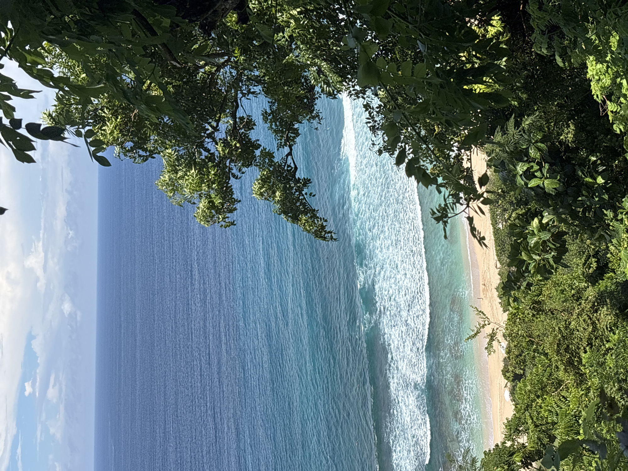 The image depicts a coastal scene with the ocean on the left, a beach in the middle, and lush green vegetation on the right. The perspective is from above, looking down at the coastline. Waves are visible in the ocean, breaking along the shoreline. The beach is sandy with a few sparse people or objects visible. The vegetation is dense and tropical, framing the view of the ocean and beach. Based on the location and coastal features, the scene is likely a beach in Pecatu, Indonesia.
