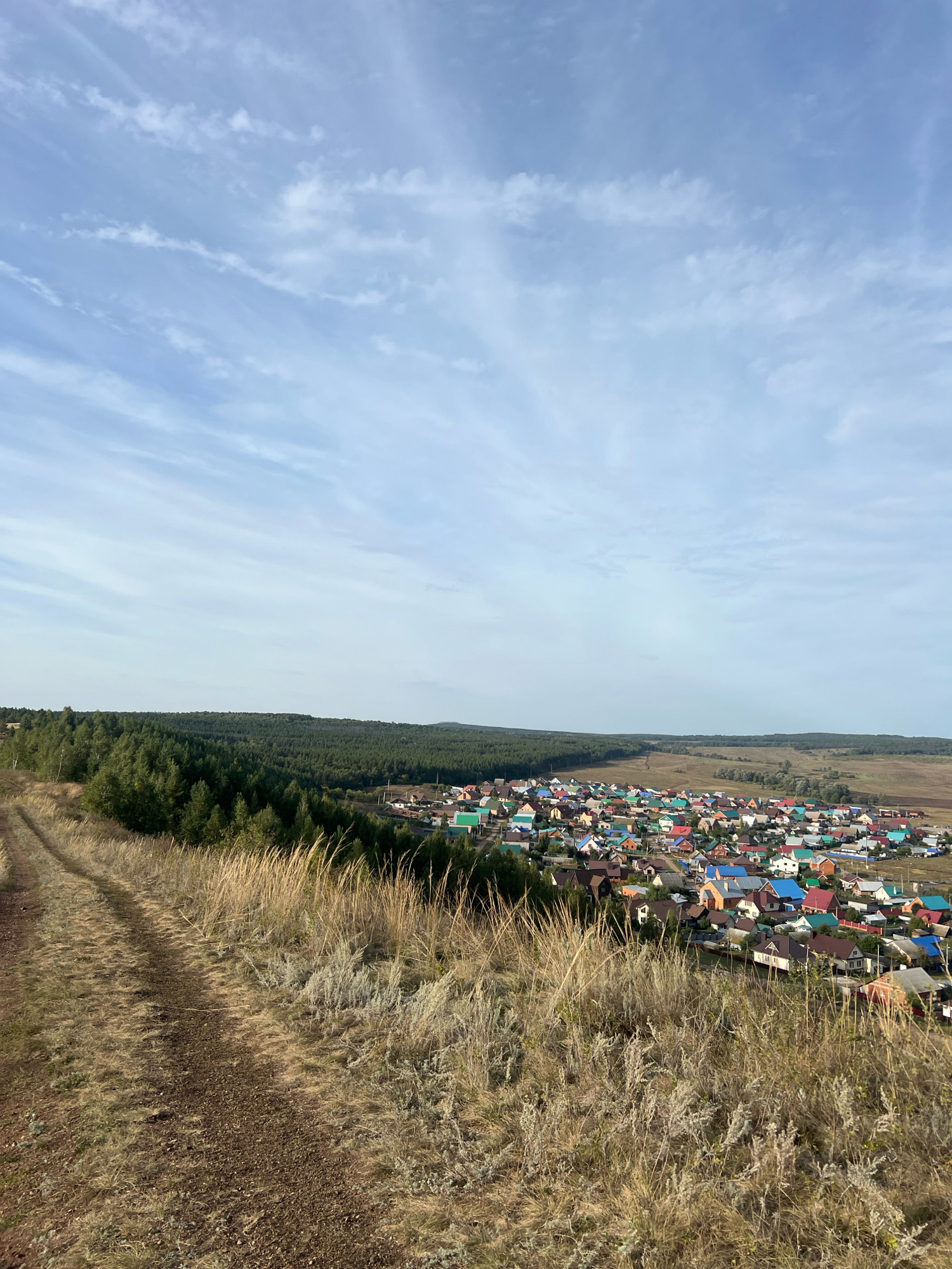 This image captures a panoramic view of the town of Ishimbay, Russia, from an elevated vantage point. In the foreground, a dirt path winds its way down a dry, grassy slope, dotted with tall, golden grasses. To the left, a dense forest of dark green coniferous trees stretches across the mid-ground. Beyond the forest, a sprawling residential area of Ishimbay unfolds. The town is characterized by numerous houses with brightly colored roofs in shades of blue, red, green, and orange, tightly packed together. In the distance, the landscape transitions to rolling hills and fields under a pale blue sky streaked with thin, wispy clouds. The overall scene depicts a rural settlement nestled amidst natural surroundings on a clear day.