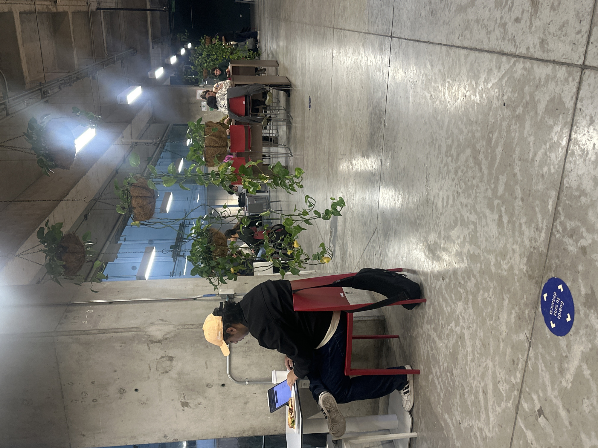 The photo shows an interior space with a concrete floor and ceiling, and large windows that allow natural light in. The space appears to be a food hall or large eating area, as there are multiple tables and chairs scattered throughout. Hanging plants are suspended from the ceiling, adding a touch of greenery to the industrial setting. A young person wearing a yellow hat, black jacket, and blue jeans sits at a red chair, appearing to work on a laptop while their food is on a nearby table. The photo also captures the "Guarda tu sana distancia" floor marking in blue, providing a reminder of social distancing practices. The location of this scene is Mexico City, Mexico.