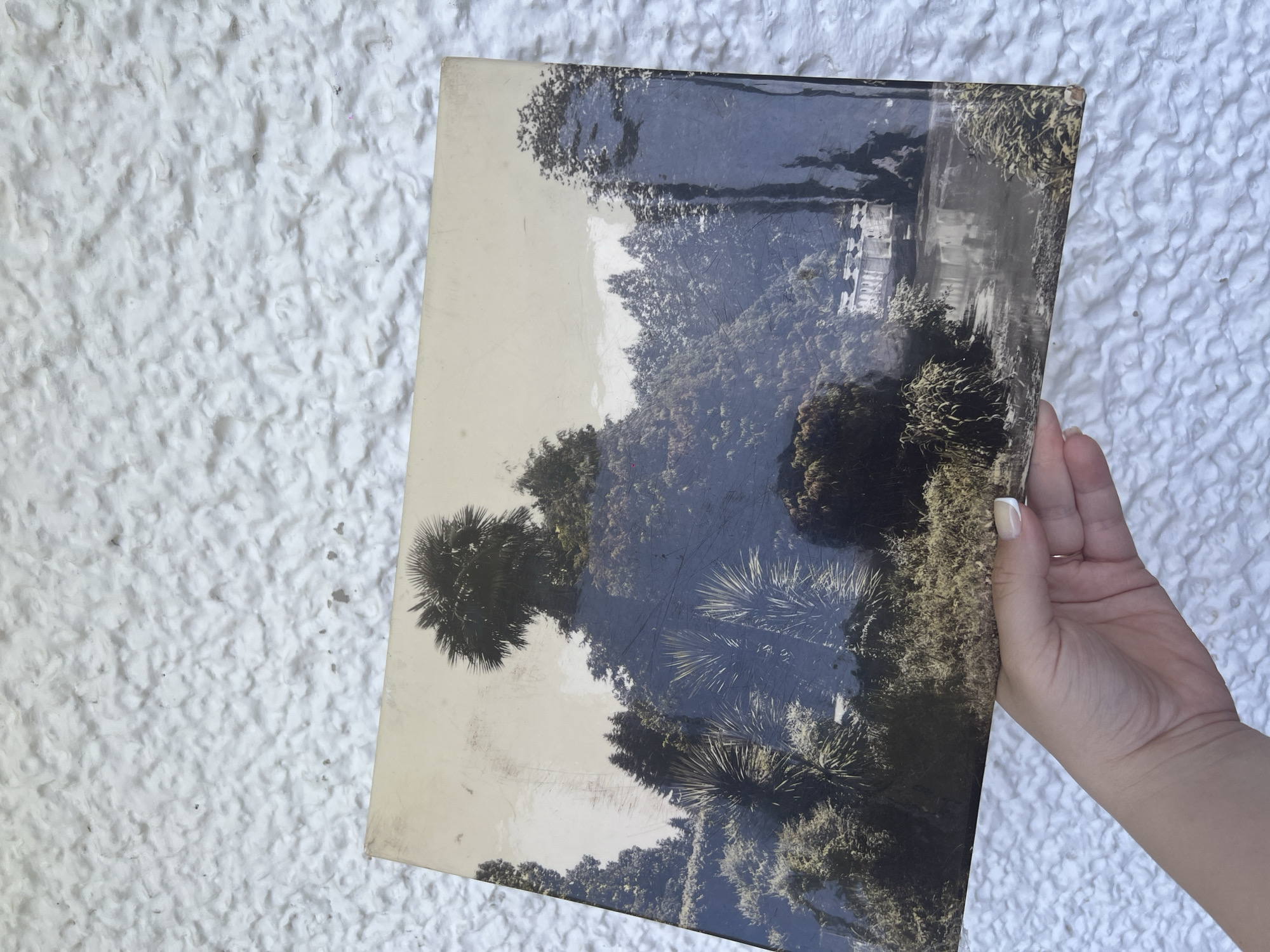 A person is holding a book with a monochromatic image of a park. The park image depicts trees, bushes, and a building in the background. The book's cover has a light-colored background with the image overlaid. The person holding the book has pale skin and manicured nails with a white crescent design. The background of the photograph features a heavily textured white surface. There is no mention of Chaikovsky, Russia, as a location in the image.