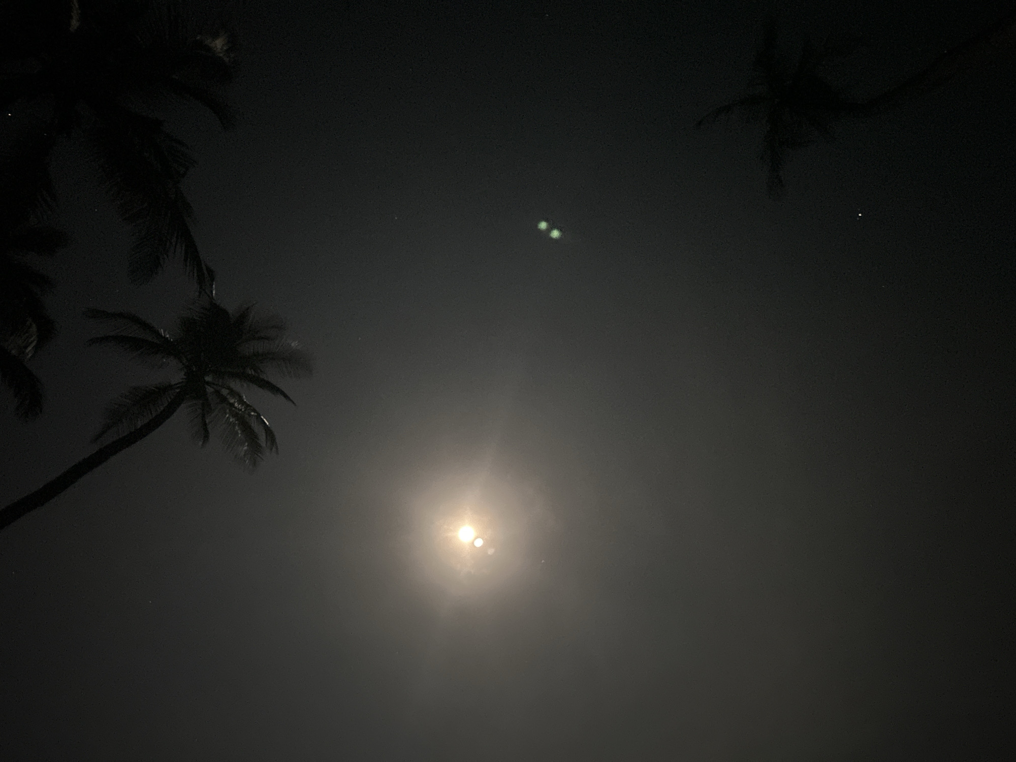 This nighttime photograph captures a serene tropical landscape, likely in Baan Taling Ngam, Thailand, under a hazy moonlit sky. Several palm trees are silhouetted against the dark expanse, with their fronds dominating the left side and a portion of the upper right of the frame.
The most prominent feature is a bright, circular light source, resembling a full moon, located in the lower-middle section of the image. It emits a strong glow, surrounded by a large atmospheric halo, suggesting mist or high humidity. Within this bright aura, a distinct lens flare appears as two overlapping, intensely bright circles. Higher up in the dark sky, two smaller, distinct green glowing dots are visible, also appearing to be lens flares. Numerous tiny, faint white specks are scattered across the dark sky, potentially distant stars or photographic artifacts.
The time of day is clearly night, with the primary illumination coming from the central light source. The weather appears clear of clouds but features significant atmospheric haze. The presence of palm trees strongly cues a tropical or coastal location. No people, specific activities, or visible text are present in the image, conveying a sense of quiet solitude and natural beauty.