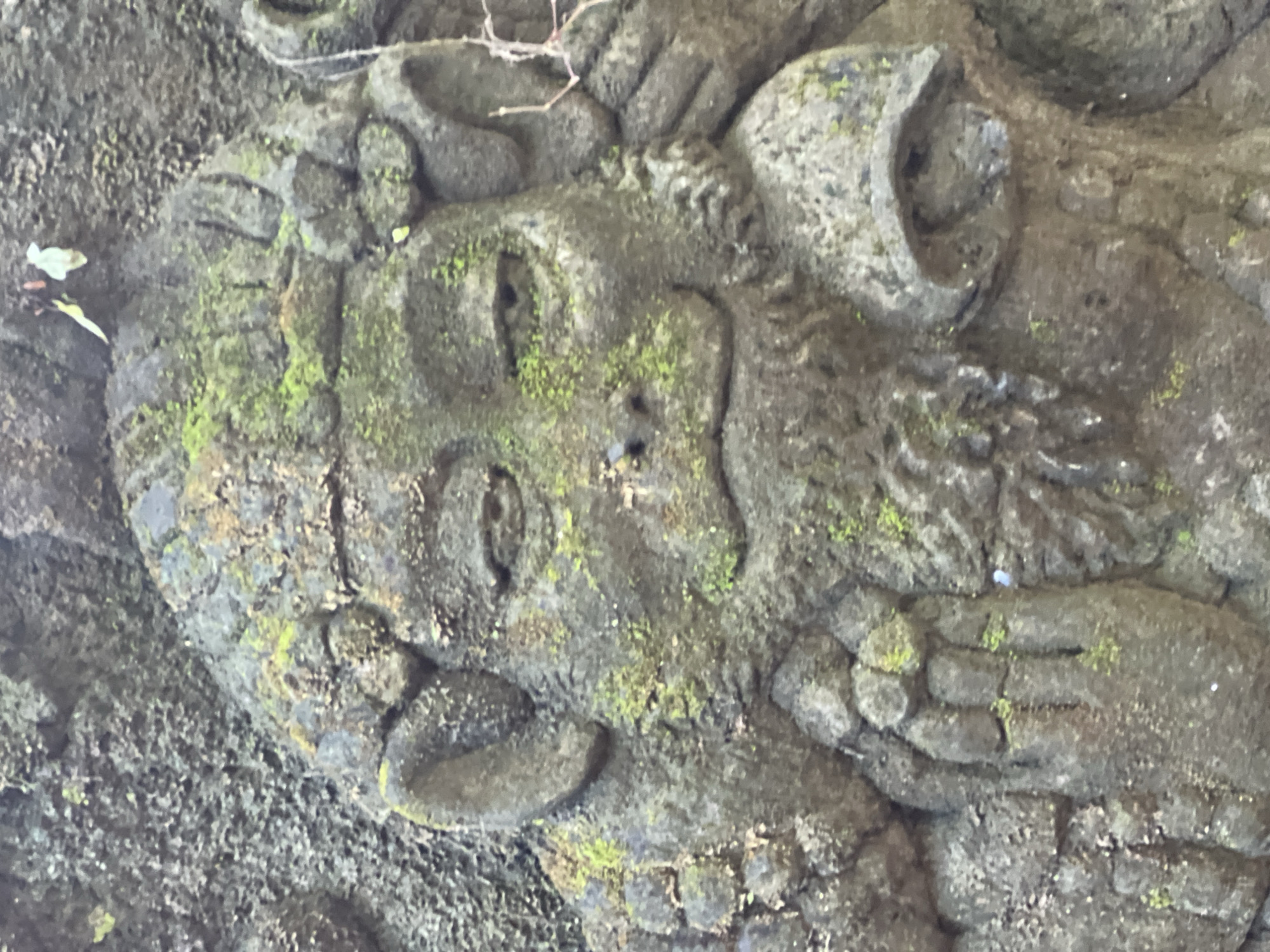 The image presents a close-up view of an ancient, heavily weathered stone carving, likely depicting a mythological figure or a stylized animal head. The carving is made from dark grey stone and is significantly covered in vibrant green moss, particularly in its recessed areas, indicating a humid, outdoor environment.
The main subject is a head, oriented sideways, featuring prominent, watchful eyes, a distinct nose, and what appears to be an open mouth or a rounded chin. The artistic style seems intricate and traditional, characterized by pronounced features and a somewhat expressive or possibly grotesque aesthetic. Surrounding the head, other carved elements are visible, suggesting parts of a body, hands, or decorative motifs, all similarly worn and moss-covered.
The scene evokes a sense of timelessness and integration with nature, typical of ancient artifacts found in tropical regions like Ubud District, Indonesia. The diffused lighting suggests daylight, possibly in a shaded area. No specific activity is taking place; the image focuses on the detailed texture, the effects of weathering, and the organic growth on the stone sculpture. There is no visible text.