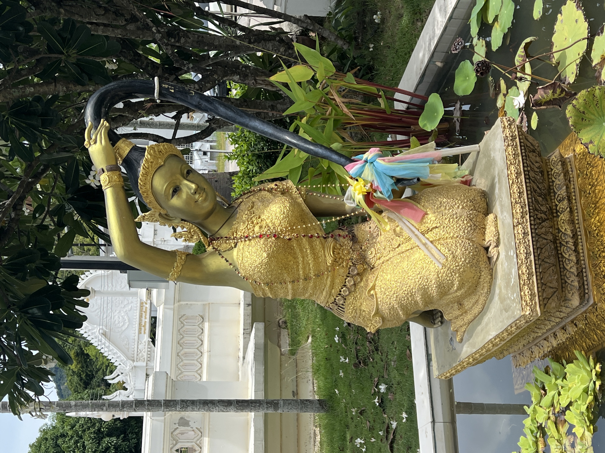 A golden statue of a woman is kneeling beside a pond in Baan Bo Phut, Thailand. The statue is dressed in traditional Thai attire and is adorned with jewelry. She is holding a dark, curved object. In the background, there is a white building with intricate carvings and lush green trees. The pond contains water lilies and a few fallen white flowers are scattered on the grass around the statue. The lighting suggests it is daytime.