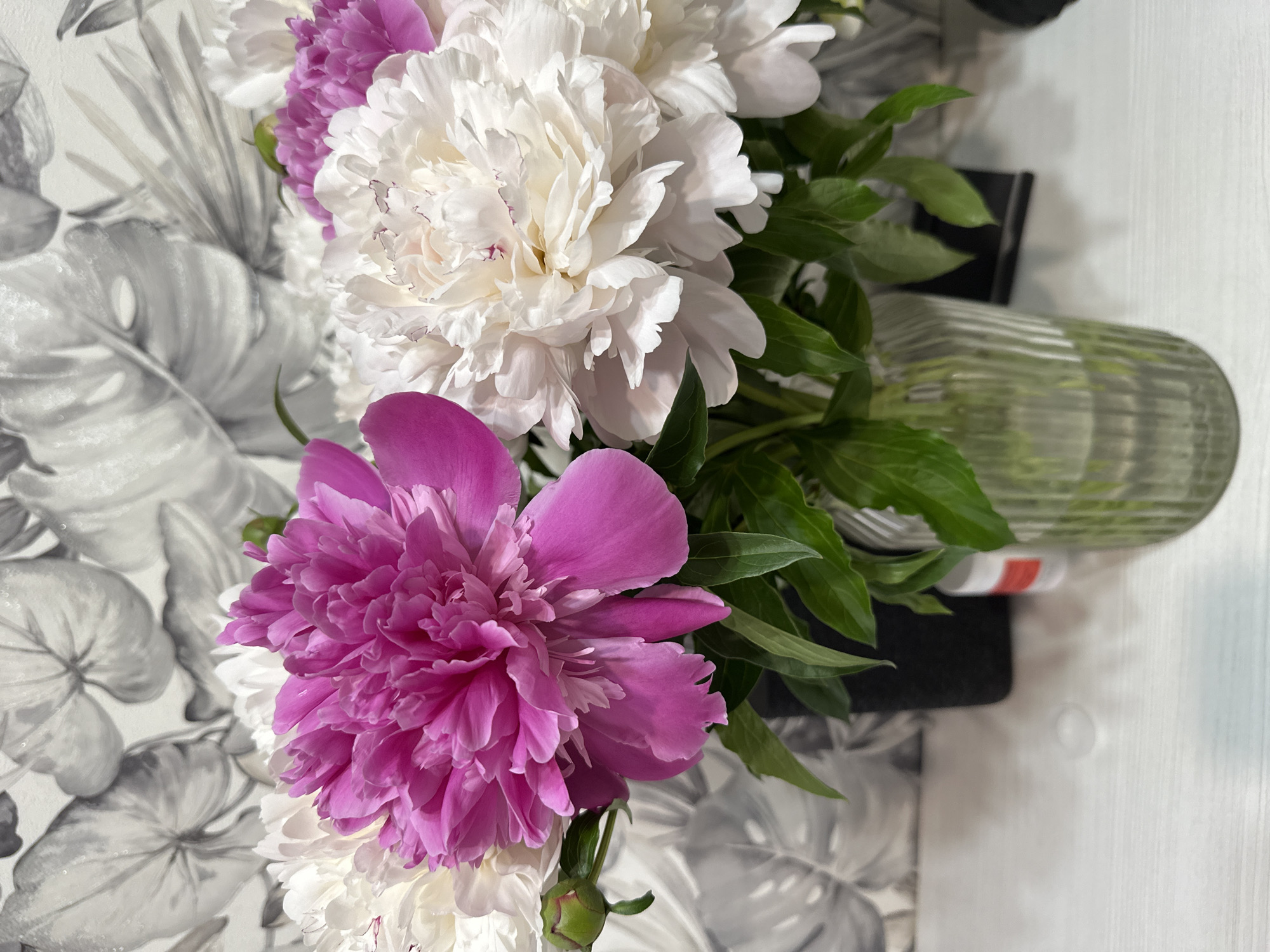A bouquet of peonies, both white and pink, are arranged in a glass vase. The vase is lying on its side on a black surface. The background consists of a patterned wallpaper with a monochromatic floral design and a plain white wall. The image was taken indoors. There is no information given in the photo to confirm that the photo was taken in Chaikovsky, Russia.