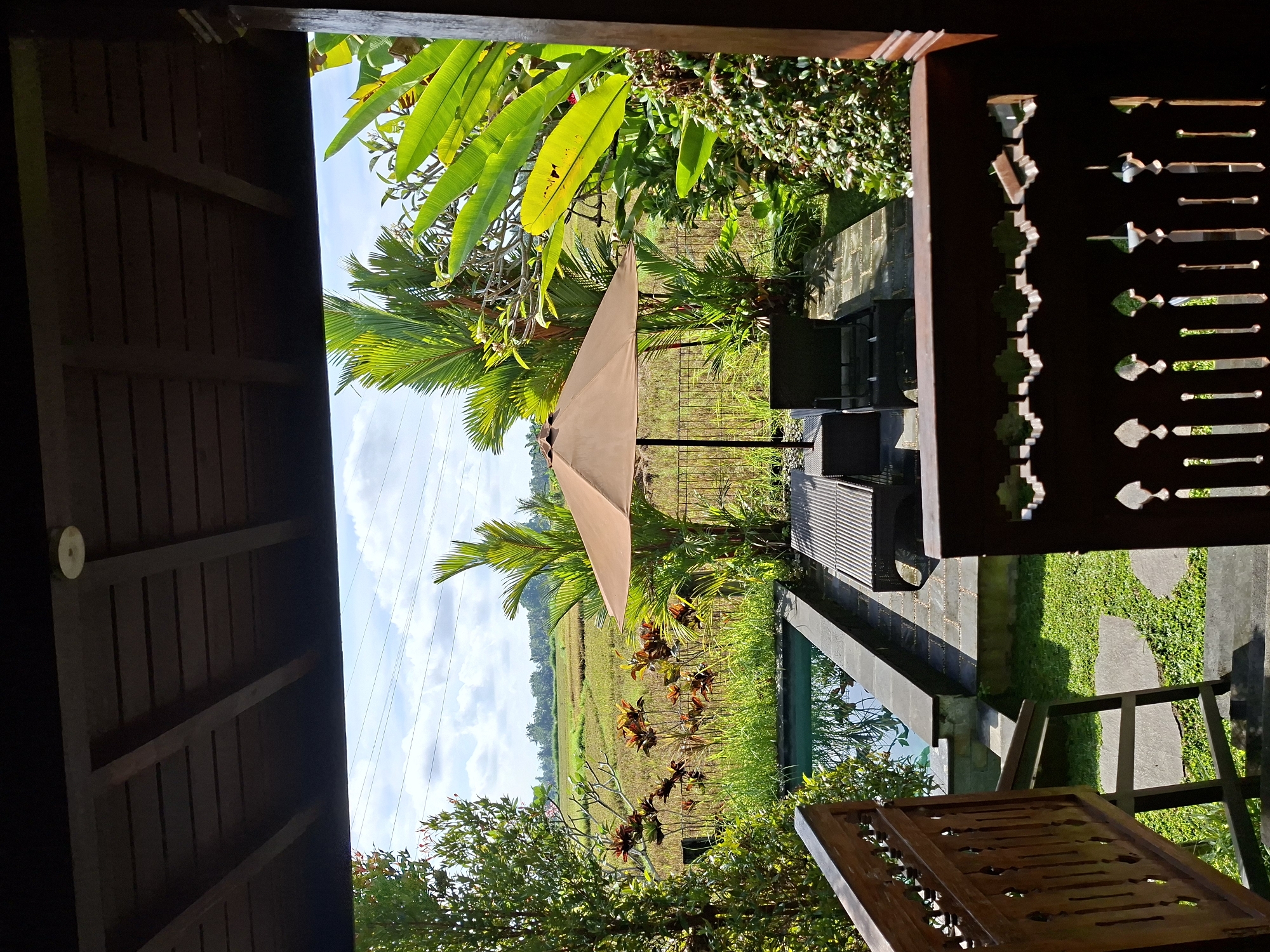 The image captures a serene tropical outdoor scene, likely a resort or villa in Ubud District, Indonesia, viewed from under a shaded patio or balcony. The perspective looks outwards from a dark wooden-beamed ceiling and a decorative carved wooden screen or railing on the right, framing a vibrant landscape.
In the mid-ground, a tan-colored outdoor umbrella provides shade over a seating area with dark chairs and a table. Adjacent to this, a rectangular swimming pool with blue-green water is visible, bordered by dark stone paving. The immediate surroundings are lush with tropical foliage, including large-leafed green plants and various palm trees. Some plants feature reddish-brown leaves, adding textural contrast.
Beyond the garden and pool area, expansive rice paddies stretch across the landscape, showcasing a mix of verdant green and dryer, light brown sections, suggesting different growth stages. The background features a bright blue sky with scattered white clouds, and faint power lines are visible in the distance. The overall weather appears sunny and clear.
The scene exudes a peaceful and relaxing atmosphere, characteristic of a tropical retreat. No people are visible, and no specific activity is taking place other than the implied enjoyment of the natural environment. The bright lighting indicates it is daytime, possibly morning or early afternoon, with distinct shadows. There is no visible text in the image.