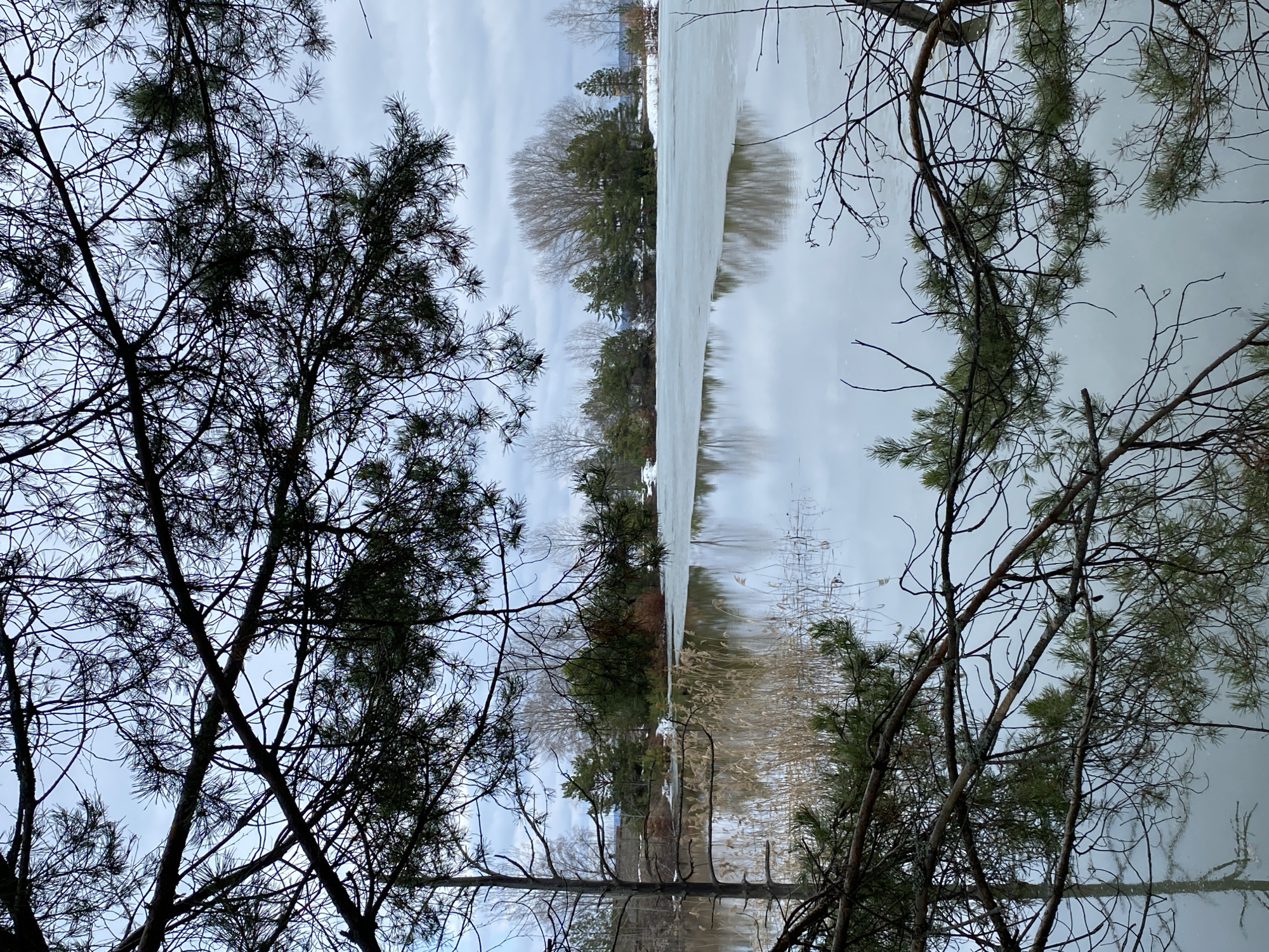 The image appears to be an upside-down view of a partially frozen lake reflecting the sky and the trees along the shoreline. Bare tree branches and some evergreen trees frame the scene. The ice on the lake is thin and patchy. It's difficult to confirm the specific location in Chaikovsky, Russia without further information or visual cues.