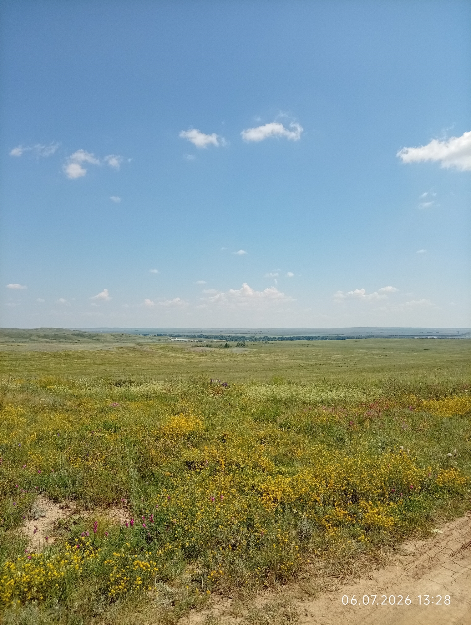 A wide-angle, eye-level, landscape photograph captures a vast, rolling grassland under a clear blue sky dotted with scattered white clouds. The foreground is a dense meadow of green grass interspersed with numerous small yellow wildflowers and patches of purple flowers. A dirt path, showing tire tracks, is visible on the right side of the frame. In the middle ground, the terrain continues to undulate, with more green grass and a distant line of trees indicating a possible water source or a settlement. The horizon is a soft, hazy line where the land meets the sky. The timestamp "06.07.2026 13:28" is visible in the lower right corner. This image is located in the city of Aktobe, Kazakhstan.