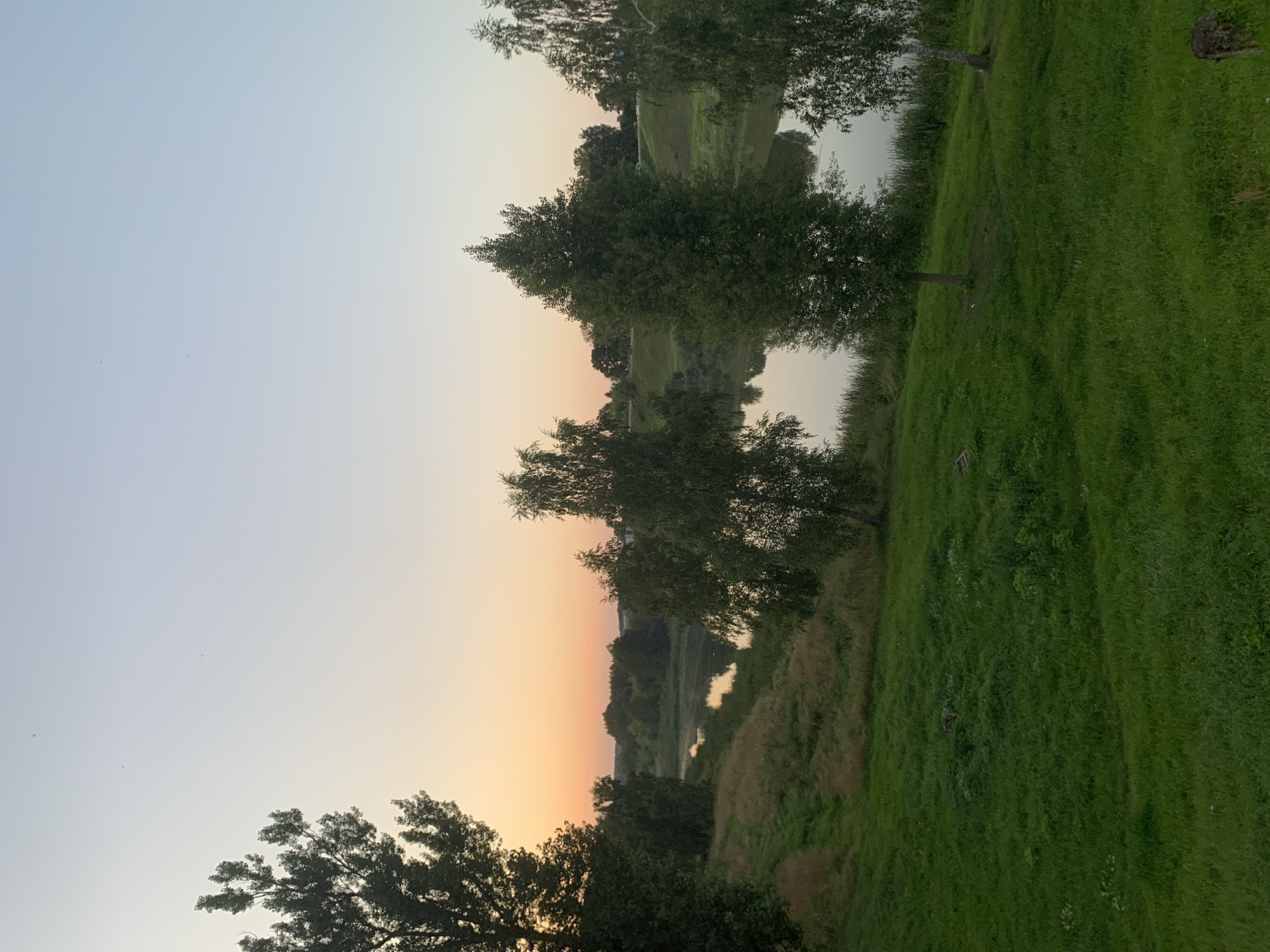The image depicts a tranquil natural landscape at dusk, likely near Kapyĺ, Belarus, characterized by a river, grassy hills, and trees. The sky transitions from a soft orange glow at the horizon to a pale blue overhead, suggesting the end of a sunset. A wide, calm river occupies the middle ground, reflecting the muted colors of the sky and the surrounding trees. The riverbanks are lined with reeds and grass. On the left side of the frame, a steep, grassy slope is visible, dotted with wildflowers and taller grasses. Several trees, including birches, are scattered across the scene, with some framing the river and others standing on the slopes. In the foreground, a lush, green, well-maintained lawn slopes gently downwards. The overall atmosphere is serene and undisturbed, with no people or animals readily apparent. The scene conveys a sense of peace and natural beauty.