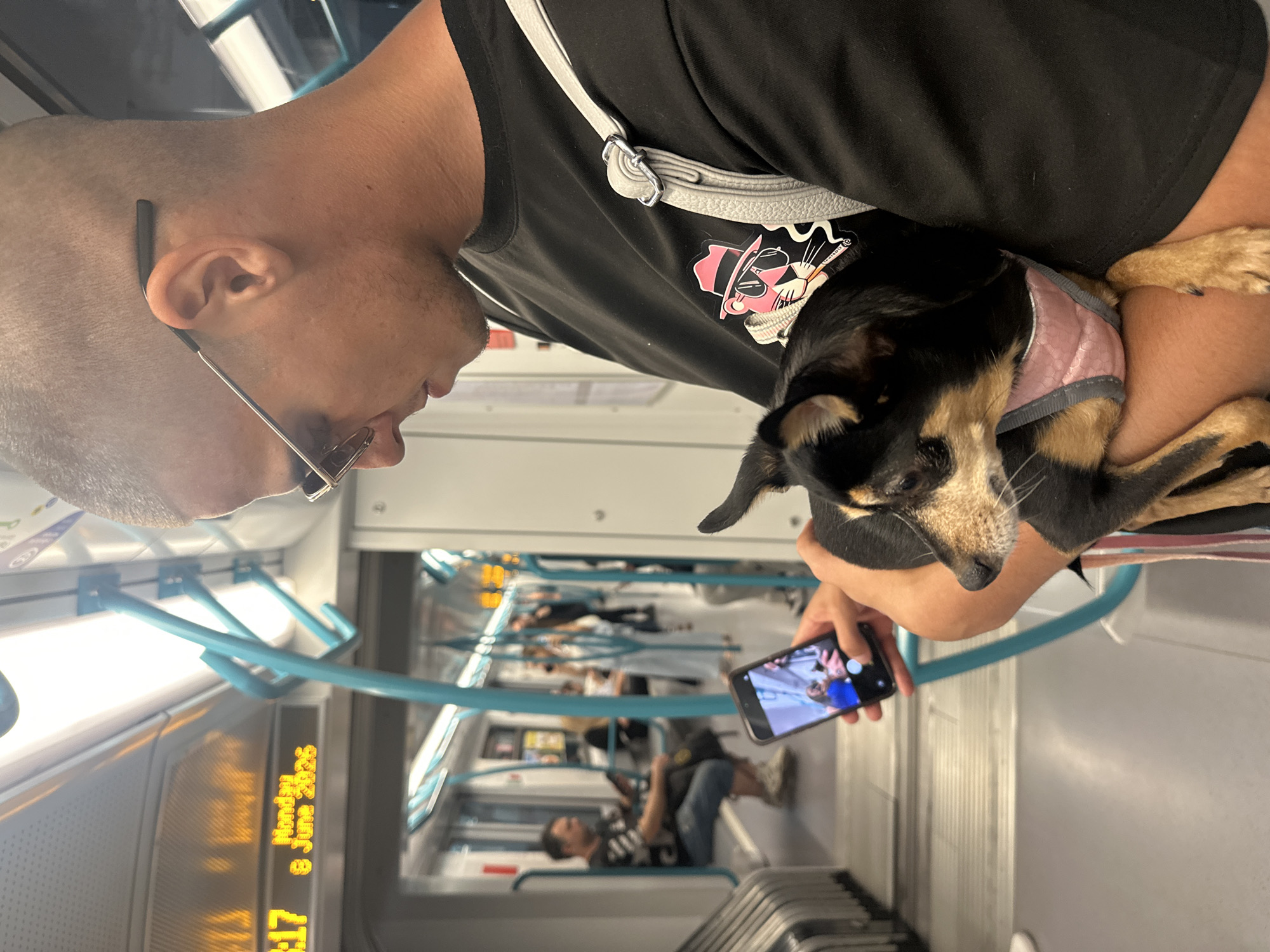 A man with a shaved head and glasses is holding a small dog in his arms on a public transport vehicle. He is wearing a black t-shirt with a pink panther graphic on it. He is looking down at his phone, which is displaying a photograph of two people. The dog is wearing a pink harness. The vehicle appears to be a metro train, with passengers visible in the background. A digital display on the wall shows the time as 8:17 and the date as Monday, 8 June 2026. This scene takes place within the Sofia Metro system in Sofia, Bulgaria.