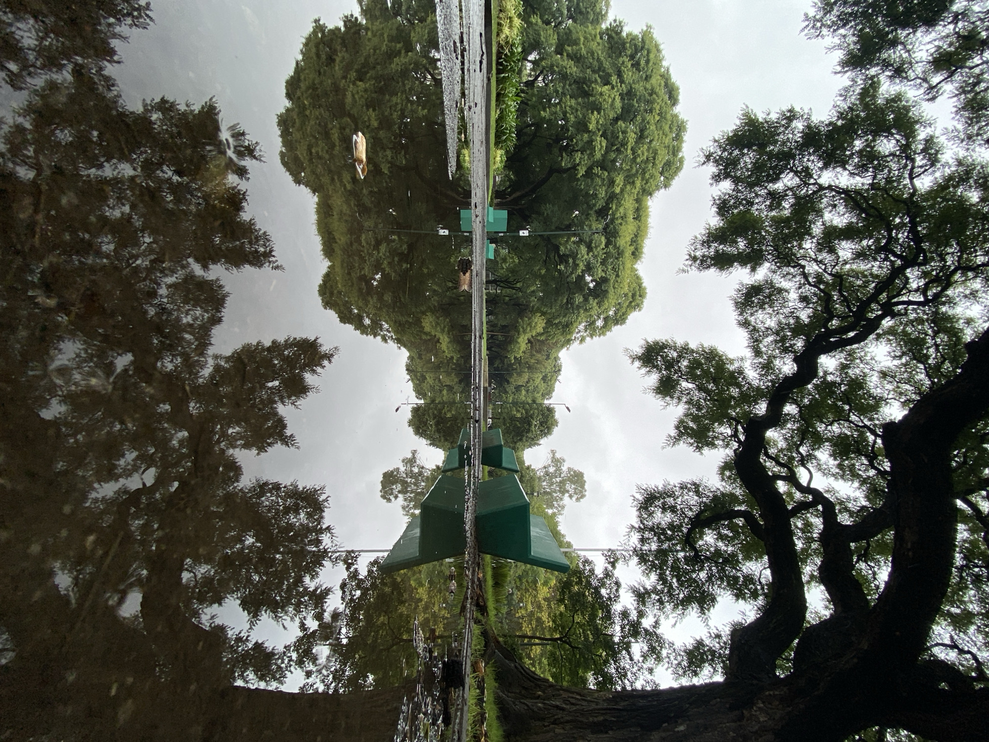 The image presents a striking composition centered around a narrow, reflective body of water or wet pavement that horizontally bisects the frame.
The top half of the image captures the reflection of the scene above. It shows an overcast, cloudy sky and the lush green canopies of large trees, appearing inverted. A prominent, multi-faceted green structure, geometric in form, is also reflected upside down. A small, light-colored object, possibly a leaf or debris, floats on the reflective surface in the upper left portion of the reflection.
The bottom half of the image depicts the actual scene. It features the substantial, gnarled trunks and lower branches of mature trees with dark green foliage. The same distinctive green structure is visible, standing upright in the center. The ground immediately bordering the reflective surface is dark and wet, suggesting recent rain. The weather is clearly overcast, with a muted, grey sky visible through the tree branches.
The image creates an intriguing visual symmetry between the real world at the bottom and its watery reflection at the top. The wet surfaces are notable, indicating conditions following rainfall. No people or visible text are present in the scene. The setting appears to be an outdoor urban or park environment, consistent with the Buenos Aires context.