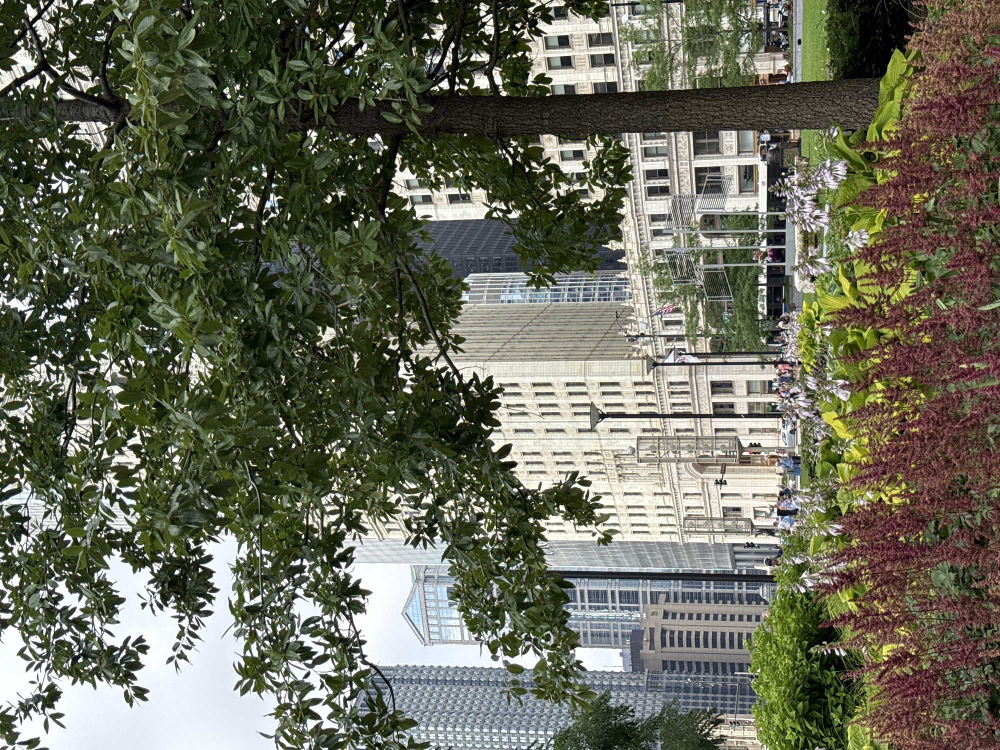 This media file captures an urban scene with a focus on a tree in the foreground, its branches laden with green leaves, partially obscuring the view of buildings behind it. The buildings are tall and modern, with many windows, suggesting a city environment. Some of the buildings have intricate architectural details, while others are sleeker and more contemporary.
In the middle ground, there are glimpses of people walking and standing, hinting at a bustling city park or public space. Lush green foliage and flowering plants, with reddish-purple blossoms, are visible in the right portion of the image, adding a touch of nature to the urban landscape. An American flag is also visible, suggesting the location is in the United States.
The lighting appears to be natural, indicating it's daytime, possibly late morning or afternoon, given the ambient light. The sky is overcast, suggesting cloudy weather. The scene is set in a city, with the architectural style of the buildings pointing towards Chicago, USA. There is no visible text in the image. The overall impression is a juxtaposition of urban structures and natural elements, with a sense of everyday life unfolding in a vibrant city.