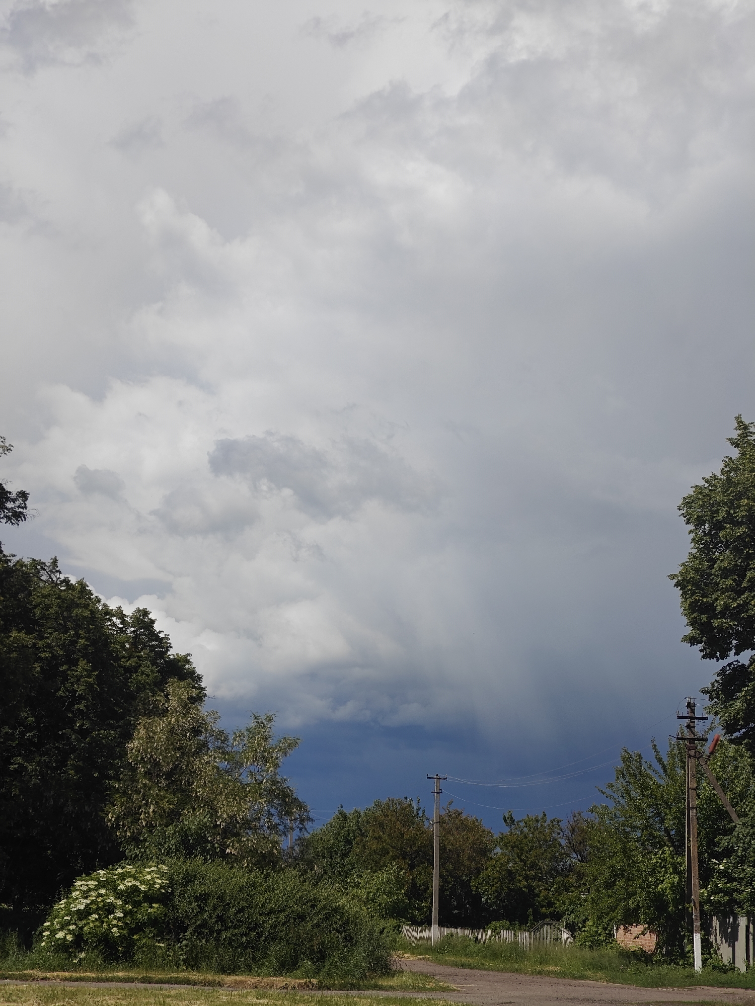 The image presents a landscape in Knyshivka, Ukraine, characterized by a dirt road leading into a verdant area. Dominating the upper portion of the scene is a sky filled with grey, ominous clouds suggesting an approaching storm. The horizon is lined with lush green trees and vegetation, interrupted by telephone poles extending upwards into the sky. A small portion of a wooden fence is visible amidst the foliage. The foreground consists of a dirt road. No people or animals are visible.