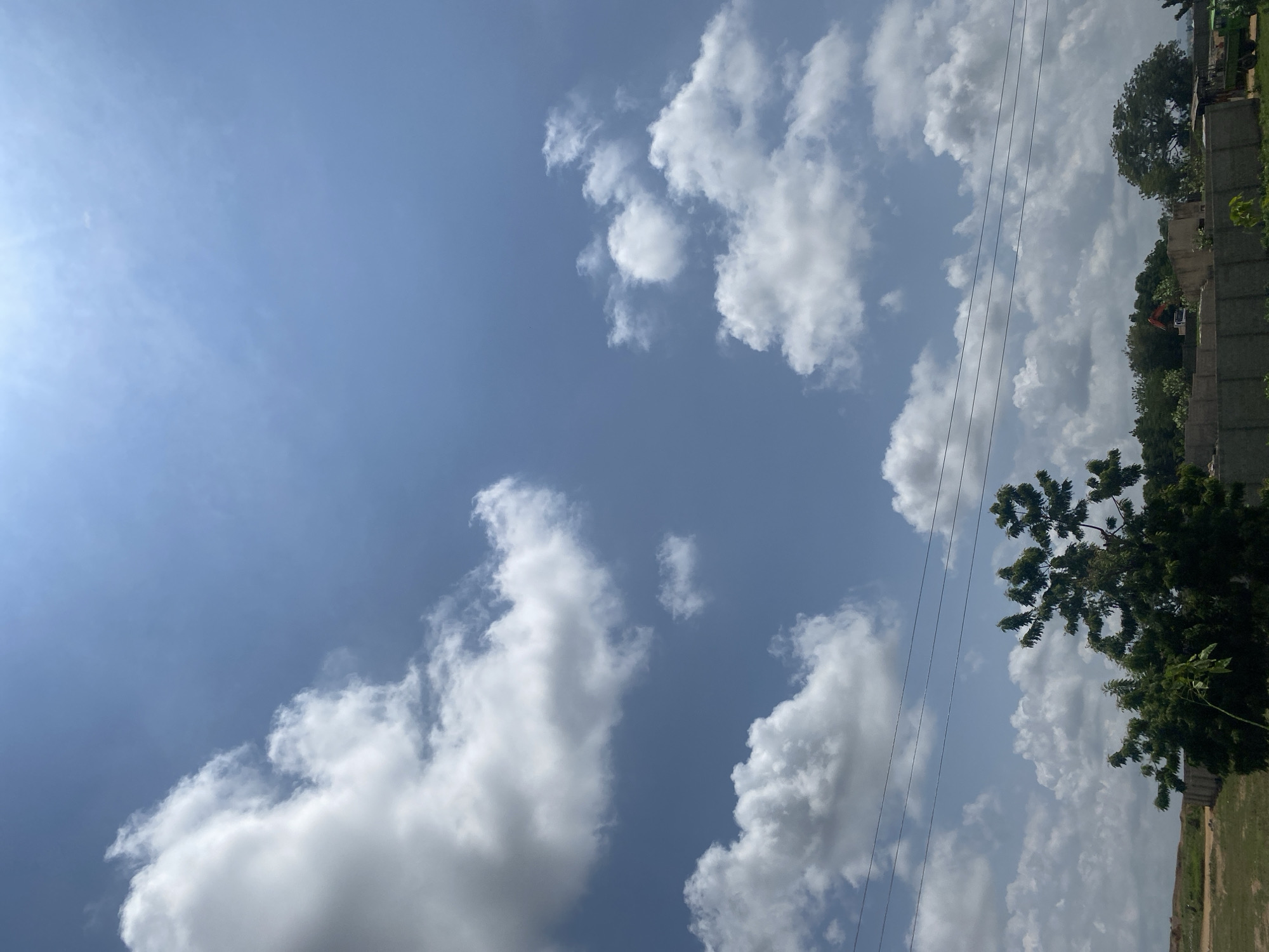 The image depicts a bright, sunny day with a clear blue sky filled with fluffy white clouds. Power lines stretch horizontally across the frame, just above a cluster of trees in the foreground. The trees are lush and green, with a single, taller tree on the right side of the image. Behind the trees, a low-rise wall or fence is visible, suggesting a boundary or construction area. In the distance, a few buildings and more trees can be seen. The ground appears to be a mix of dry grass and dirt. The overall impression is one of an outdoor scene in a rural or semi-rural area. The presence of power lines suggests a populated area, and the open sky with scattered clouds is typical of many daytime weather conditions. The image does not contain any discernable human subjects or actions.