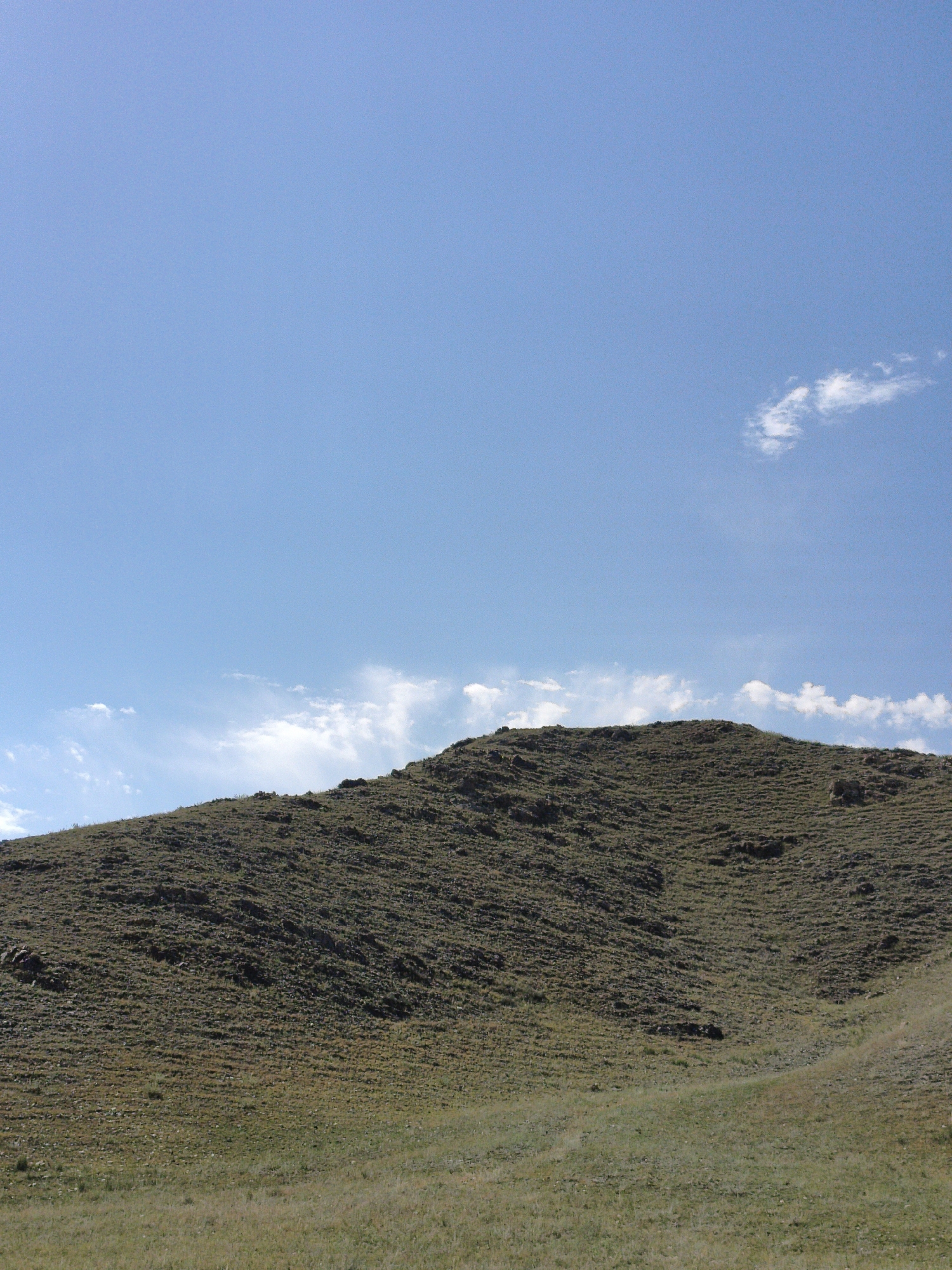 A wide, low-angle shot captures a barren, grassy hillside under a bright blue sky with a few wispy clouds. The hill dominates the lower half of the image, its surface covered in short, dry grass and sparse, rocky outcroppings. The sky takes up the upper half, a clear expanse of blue with a couple of small, white clouds drifting on the right. The scene appears to be a natural landscape, devoid of any human presence or structures. The lighting suggests a sunny day, casting soft shadows on the textured surface of the hill.