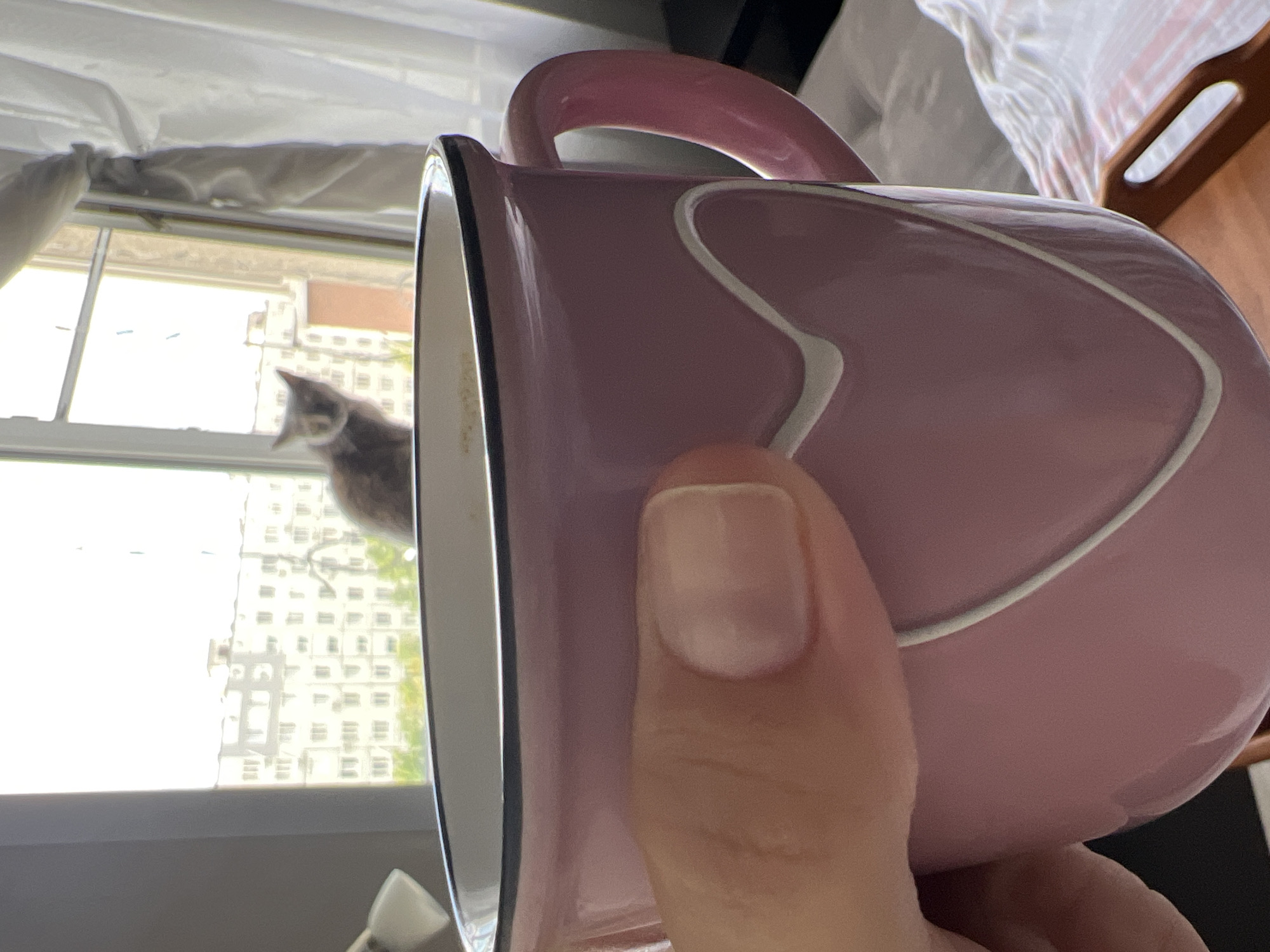 A close-up, eye-level shot shows a person's hand holding a pink mug with a white heart design. The mug has a black rim and a pink handle. In the background, through a window, a blurry gray cat sits on a windowsill, looking out at a cityscape with apartment buildings. The scene is likely indoors, with a hint of natural light illuminating the area. The apartment buildings in the background appear to be typical of Soviet-era architecture, common in many Russian cities, including Tolyatti, Russia.