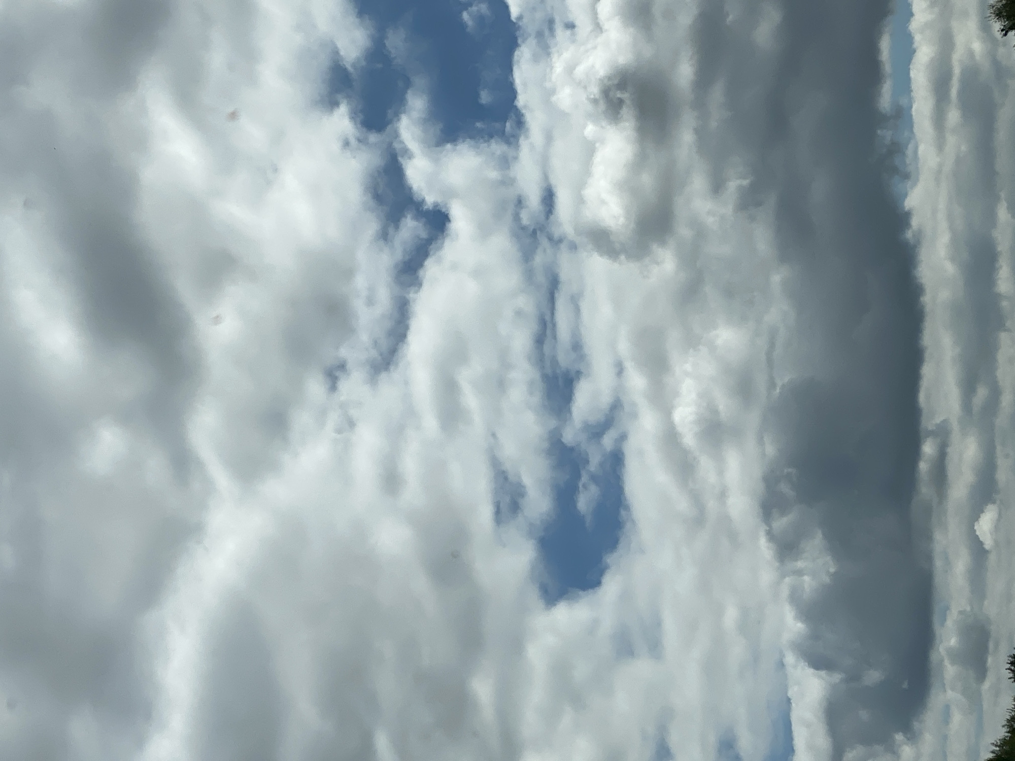 The image shows a sky filled with clouds, with patches of blue visible in between. The clouds are varied in color and texture, ranging from bright white to dark gray, suggesting different altitudes and densities. Some clouds appear fluffy and wispy, while others are more dense and ominous. The overall impression is that of a dynamic and changing sky, possibly indicating an approaching weather front. The bottom edge of the image shows a sliver of green foliage, suggesting the photo was taken from ground level, looking upwards. There are no discernible buildings, vehicles, or people in the image, only the natural environment of the sky and a hint of greenery. The scene is devoid of any specific landmarks that would pinpoint a location within Roßwein, Germany, or any other city.