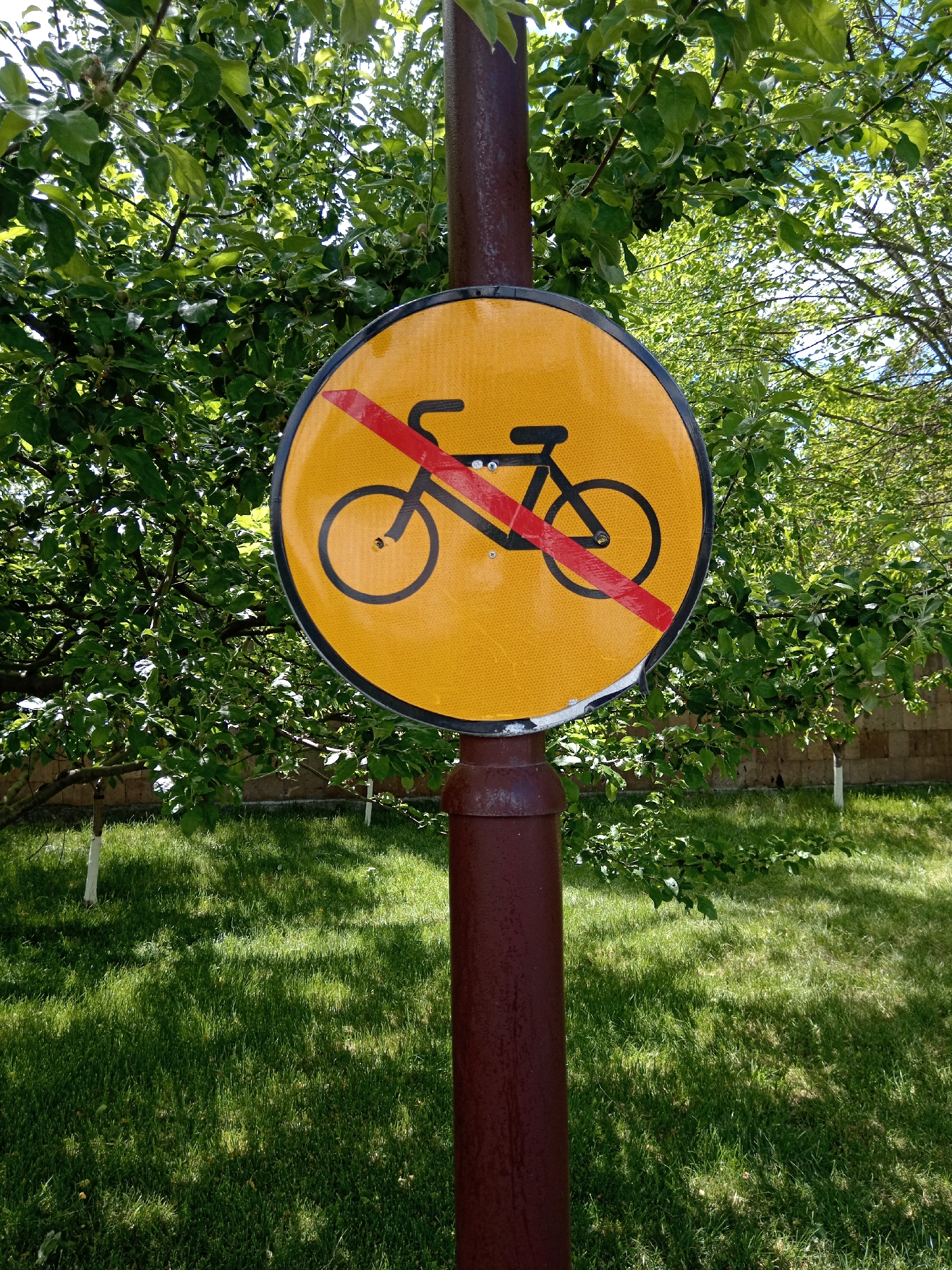 A "No Bicycles" sign is mounted on a brown pole. The sign is yellow with a black bicycle image crossed out by a red line. The background features green grass and trees. The location is the city of Unknown, Unknown.