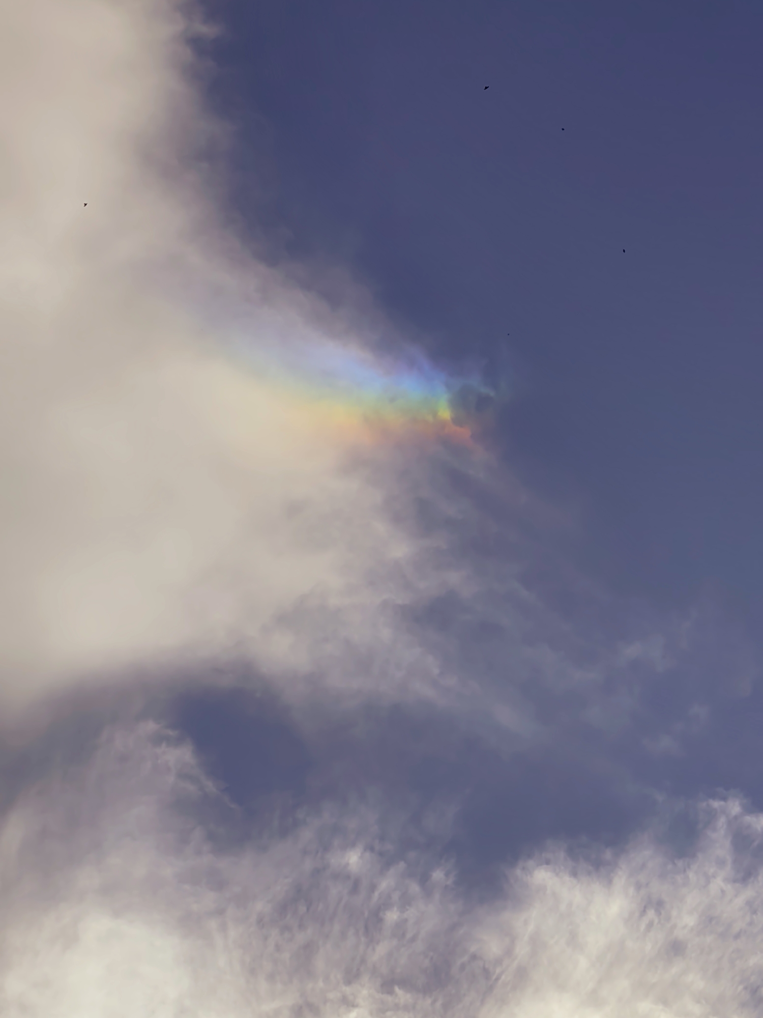 In Goyany, Moldova, this image captures a portion of a sky with varying cloud densities and colors. A spectrum of colors, resembling a rainbow or a sun dog, is visible within a wispy cloud formation on the left side of the frame. Several dark, small, bird-like shapes are scattered across the sky. The background is a gradient of dark blue to lighter grey, suggesting a daytime scene with possibly overcast or partly cloudy conditions. The lower portion of the image shows denser, white clouds, transitioning to the darker, more diffused clouds above.