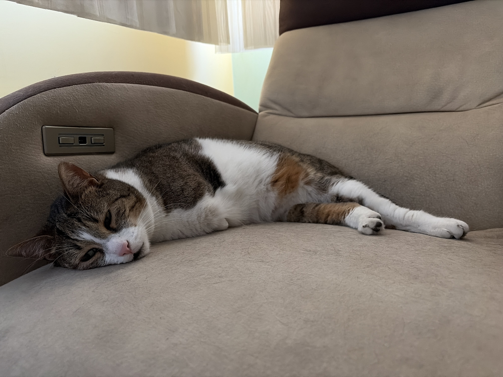 A tabby and white cat is sleeping on a beige recliner in an indoor setting. The cat is positioned on its side, with its head resting on the armrest of the chair. The recliner has brown accents and a control panel embedded in the armrest. The background shows a wall and blinds. The lighting appears to be natural, coming from a window.