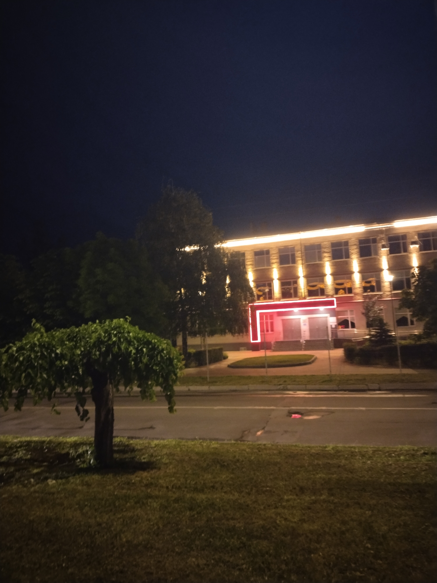 The image captures a nighttime scene in Horishni Plavni, Ukraine, featuring a well-lit building and street. In the foreground, a distinct, low-lying tree with a dark trunk and dense, rounded green foliage occupies the lower-left on a patch of dark green grass. Beyond the grass, a dark asphalt road runs horizontally across the frame, devoid of traffic.
The primary subject is a two-story building in the midground, illuminated by numerous artificial lights. Its facade appears to be a light color, possibly beige or light brown, with multiple uniformly spaced rectangular windows. Warm white up-lights are positioned below each window on the second story and between windows on the first story. A string of warm white lights also runs horizontally along the building's top edge. The main entrance, slightly recessed, is prominently outlined by a bright, L-shaped red neon-like light structure. Golden garlands or decorations are visible within some first-story windows. Steps lead up to the entrance.
To the left of the building and behind the foreground tree, a line of taller, dark trees is silhouetted against the dark sky, their upper branches occasionally catching light from distant sources. A streetlight pole is partially visible to the right of the building. The sky above is a uniform deep, dark blue-black, indicating clear night conditions. No individuals or vehicles are present, depicting a quiet urban environment after dark.