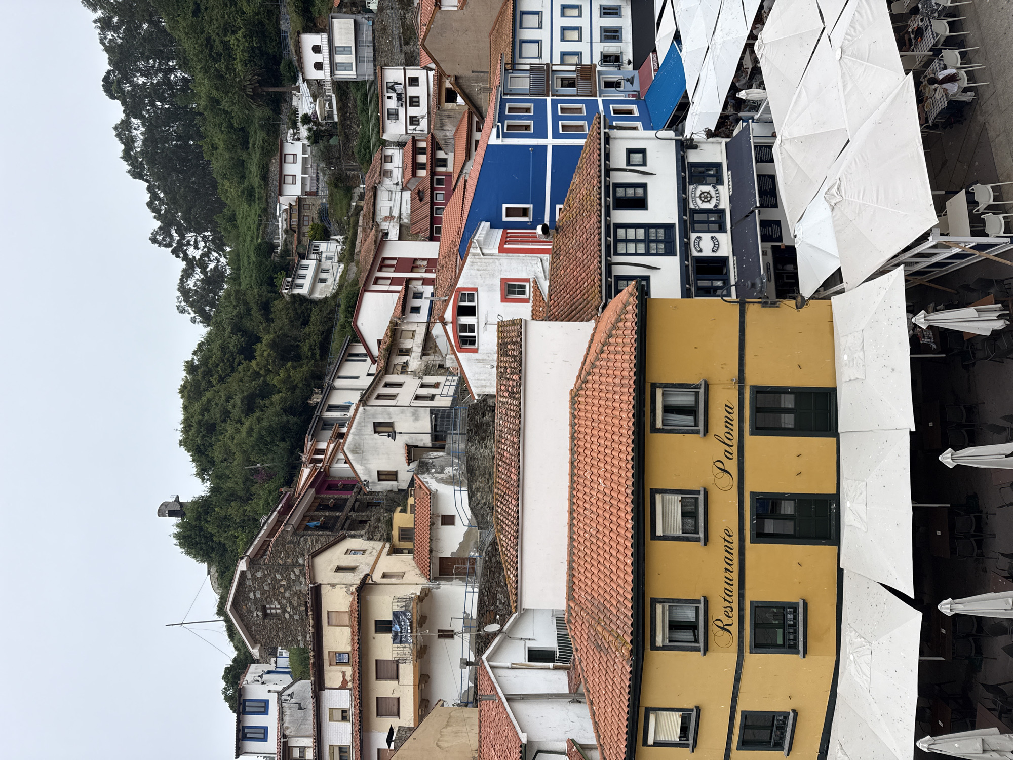 A medium-shot, eye-level view captures an outdoor dining area in Cudillero, Spain, on a slightly overcast day. The foreground is dominated by white umbrellas, some open, sheltering tables with checkered tablecloths and chairs. Several umbrellas are closed and lean against posts. To the left, a portion of a bright yellow building displays the signage "Restaurante Paloma" in script font. This building has multiple windows with dark frames and blinds.
Behind the dining area, the scene transitions to the hilly architecture of Cudillero. Buildings with red-tiled roofs are densely packed, cascading down the hillside. Several structures are painted white, while others feature blue or white facades with dark trim. Some buildings have balconies with railings. The upper portion of the image reveals a dense green forest covering the hills, with a small concrete structure visible at the very top. The sky is a muted, pale gray. No individuals are clearly identifiable.