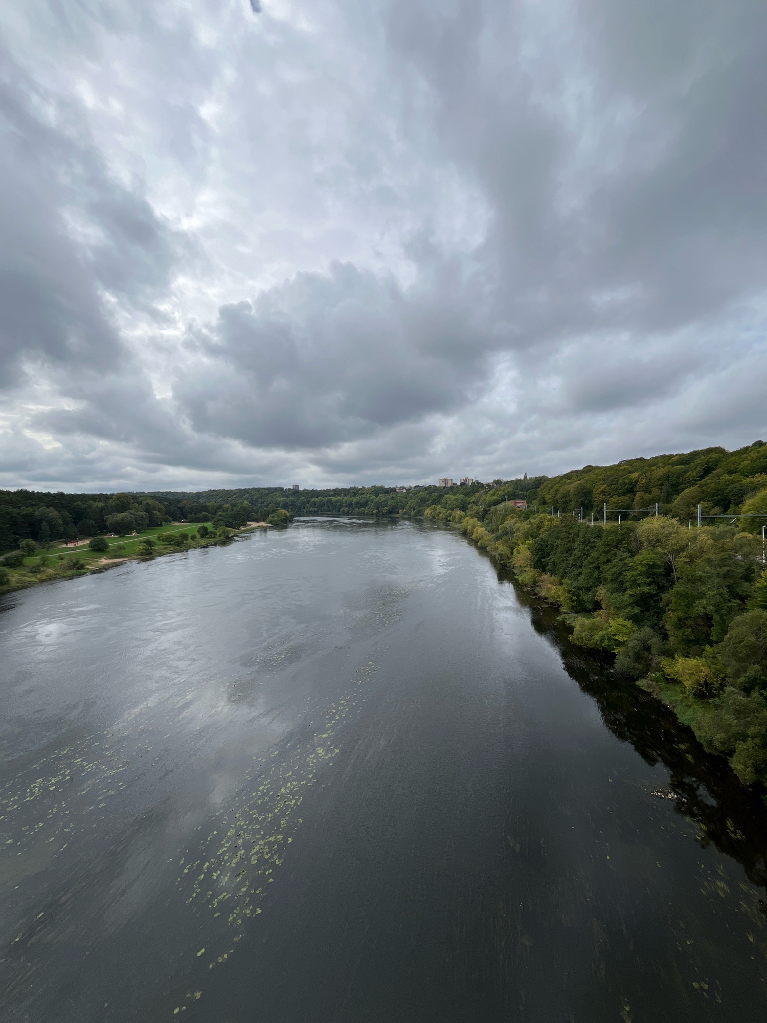 A wide, dark river flows through a landscape under a cloudy, overcast sky. The river occupies the majority of the frame, with its surface reflecting the subdued light. On the left bank, a green park area with some trees and sandy patches is visible, suggesting a recreational space. Further along the left bank, a line of trees forms the background.
The right bank of the river is characterized by a dense forest that climbs a gentle slope. The trees are lush and green, with some hints of autumn color beginning to appear. Along the top of the forested slope, a few buildings are visible in the distance, as well as what appears to be a railway line with overhead electrical wires.
The overall scene is natural and serene, with the presence of man-made elements like buildings and the railway subtly integrated into the landscape. The cloudy sky contributes to a somber or peaceful mood. This view is from a bridge or elevated vantage point overlooking the Nemunas River in Kaunas, Lithuania, likely from the Aleksotas Hill area looking towards the confluence with the Neris River or further along its course.