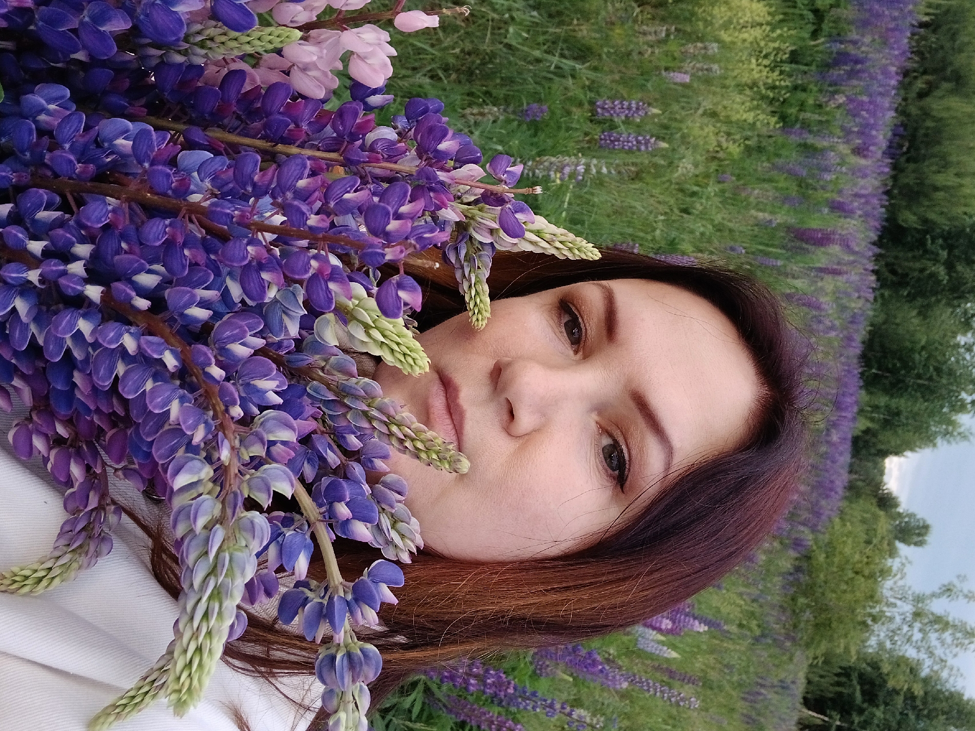 The media file shows a portrait of a young woman lying in a field of purple and pink lupine flowers. She is wearing a white top and her dark hair is spread out around her. The woman is holding a bouquet of lupine flowers in her hands, which partially obscures her face. Her eyes are looking towards the camera, and her expression is calm. The background consists of a lush green field with more lupine flowers and trees. The lighting suggests it is daytime, possibly late afternoon, given the soft light and potential for a slightly hazy sky visible in the distance. The scene evokes a sense of peace and natural beauty, common in rural or park settings during the blooming season. There is no visible text in the media file. The location context of Chaikovsky, Russia, aligns with the presence of lupine fields which are prevalent in the region during summer months.