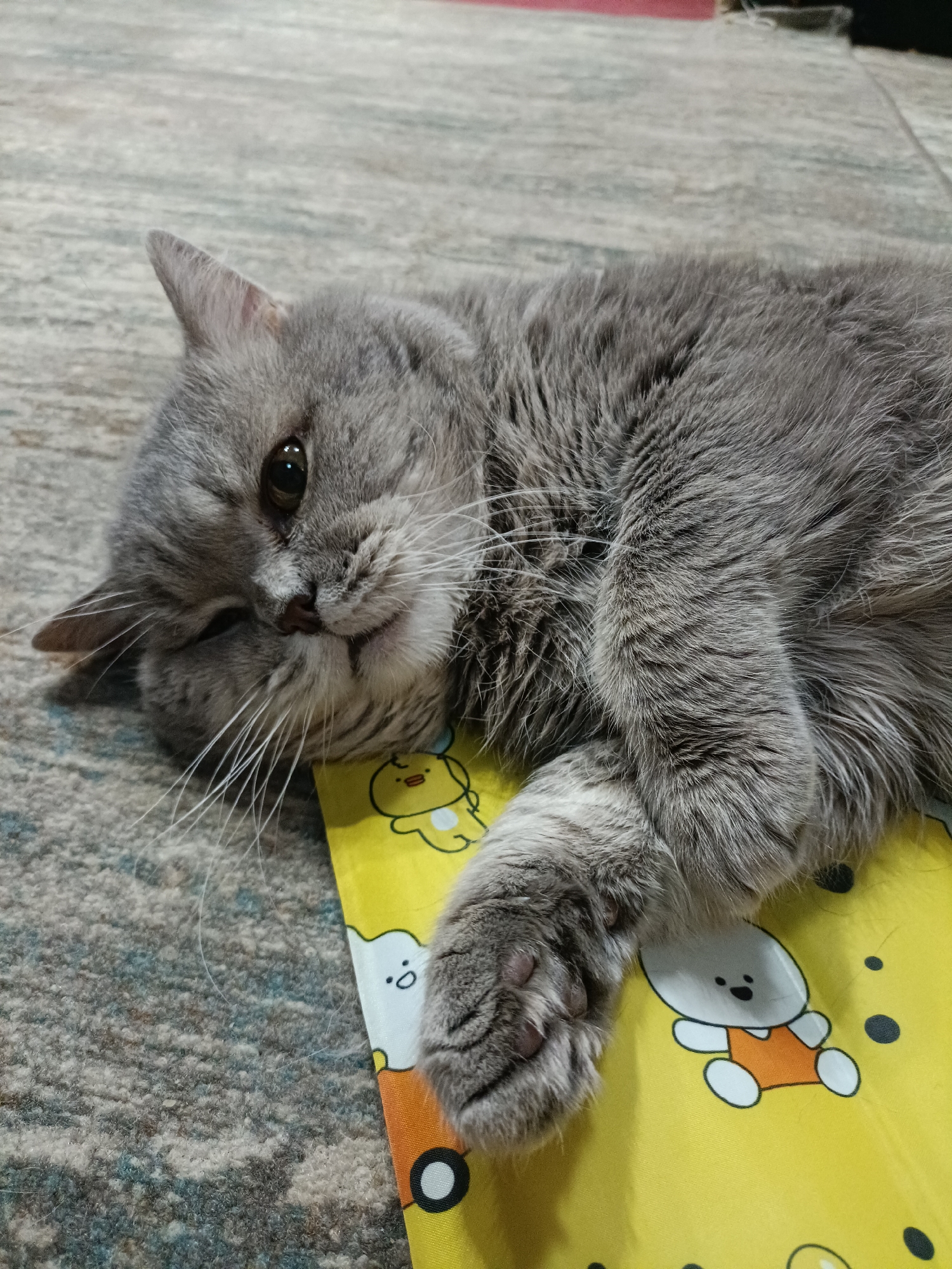 A grey cat with green eyes is lying on a yellow blanket with cartoon drawings. The cat is looking at the camera with one eye open and the other partially closed. The cat's fur is long and fluffy. The blanket is placed on a grey carpet. The image is taken from a high angle, looking down at the cat. The background is blurred and shows a wooden floor.