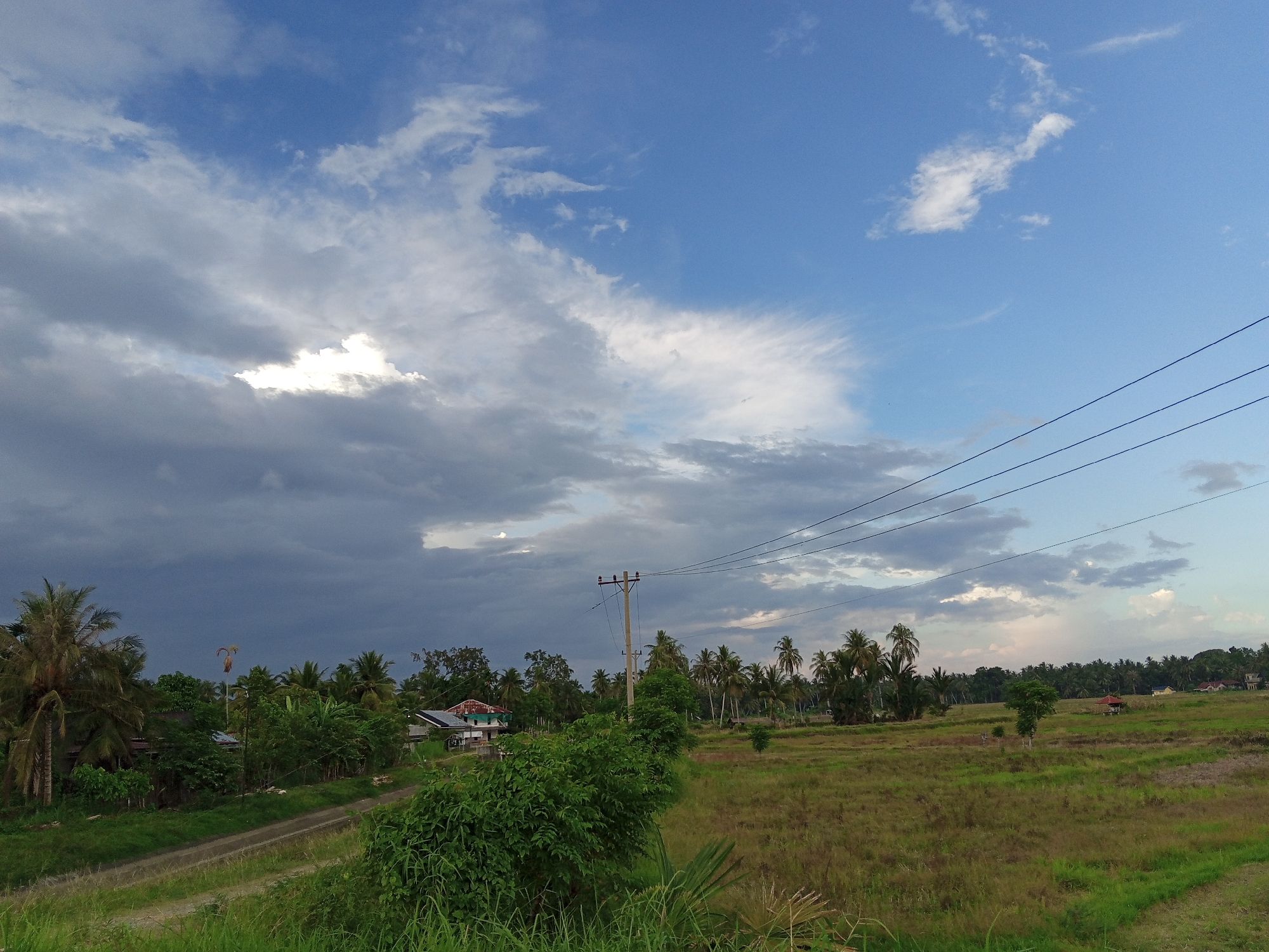 The image depicts a rural scene in Cotjrat, Indonesia. The foreground consists of overgrown grassy terrain with a dirt road leading into the distance. Lush green vegetation and several coconut trees line the road and border the fields. In the middle ground, rice paddies extend into the distance, dotted with scattered trees and a few simple structures, possibly huts or houses. An electrical pole with power lines crosses the frame. The sky is partially covered with heavy, dark clouds on the left, contrasting with patches of blue sky and brighter clouds on the right.