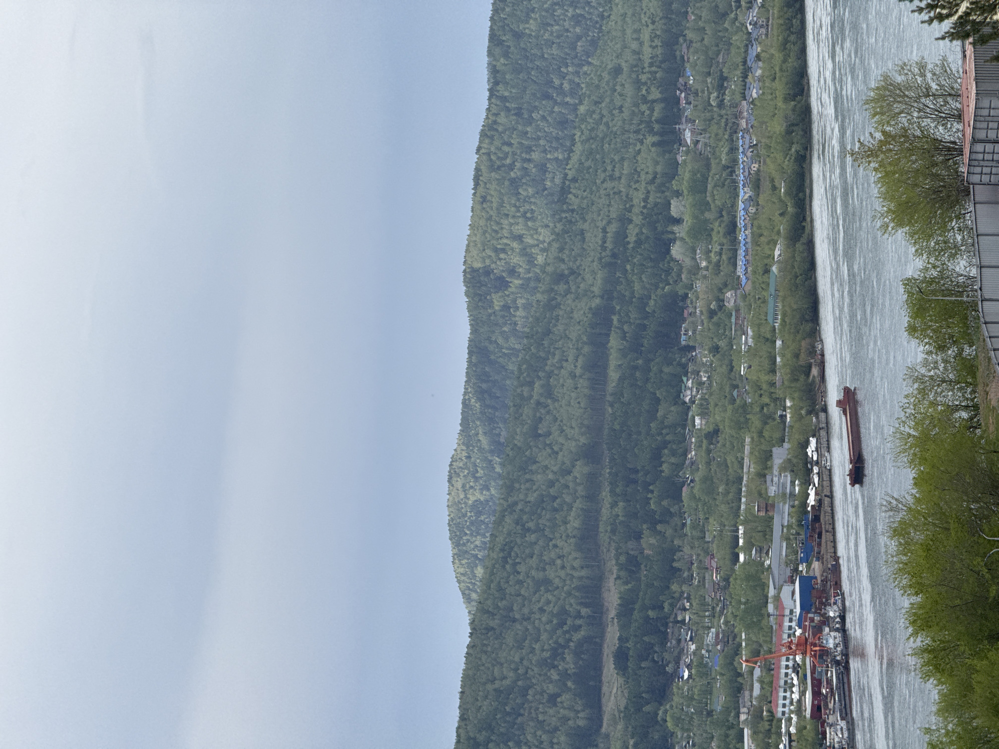 The image shows a vertical view of the Yenisei River flowing through Krasnoyarsk, Russia. A densely forested mountain rises along the left side of the frame, while buildings, structures, and docks line the right side along the riverbank. Several vessels, including barges and tugboats, are visible on the river, along with industrial cranes on the dock. Buildings of various sizes and colors are scattered along the riverbank. The sky is overcast, creating a diffused light on the scene.