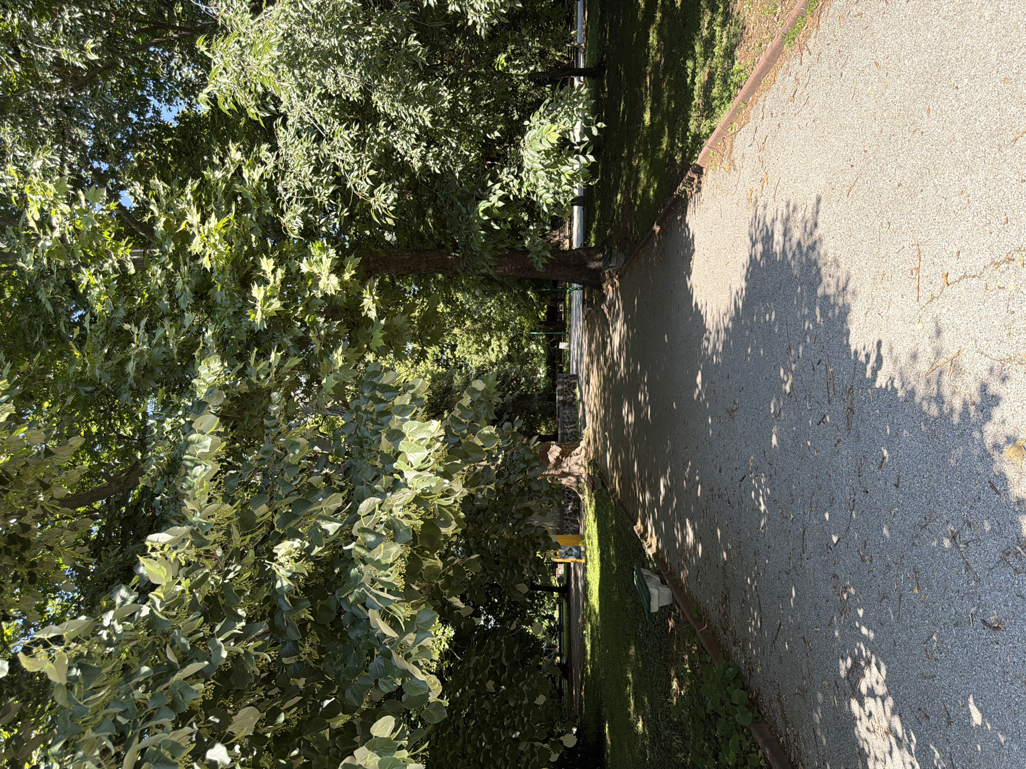 The image depicts a sun-dappled pathway in a park, likely located in Pazardzhik, Bulgaria. Large, leafy trees line the pathway, casting shadows on the gravel surface. The trees are dense with green foliage, suggesting it is springtime or summer. On the left side of the path, a green bench with concrete supports is visible, situated on a grassy area. Further back on the left, a yellow trash receptacle with a dark lid is present near the base of a large tree. On the right side of the path, more trees and grass create a verdant landscape. The pathway appears to be a pedestrian walkway, leading into the park and surrounded by nature. The overall impression is one of a peaceful, outdoor public space.