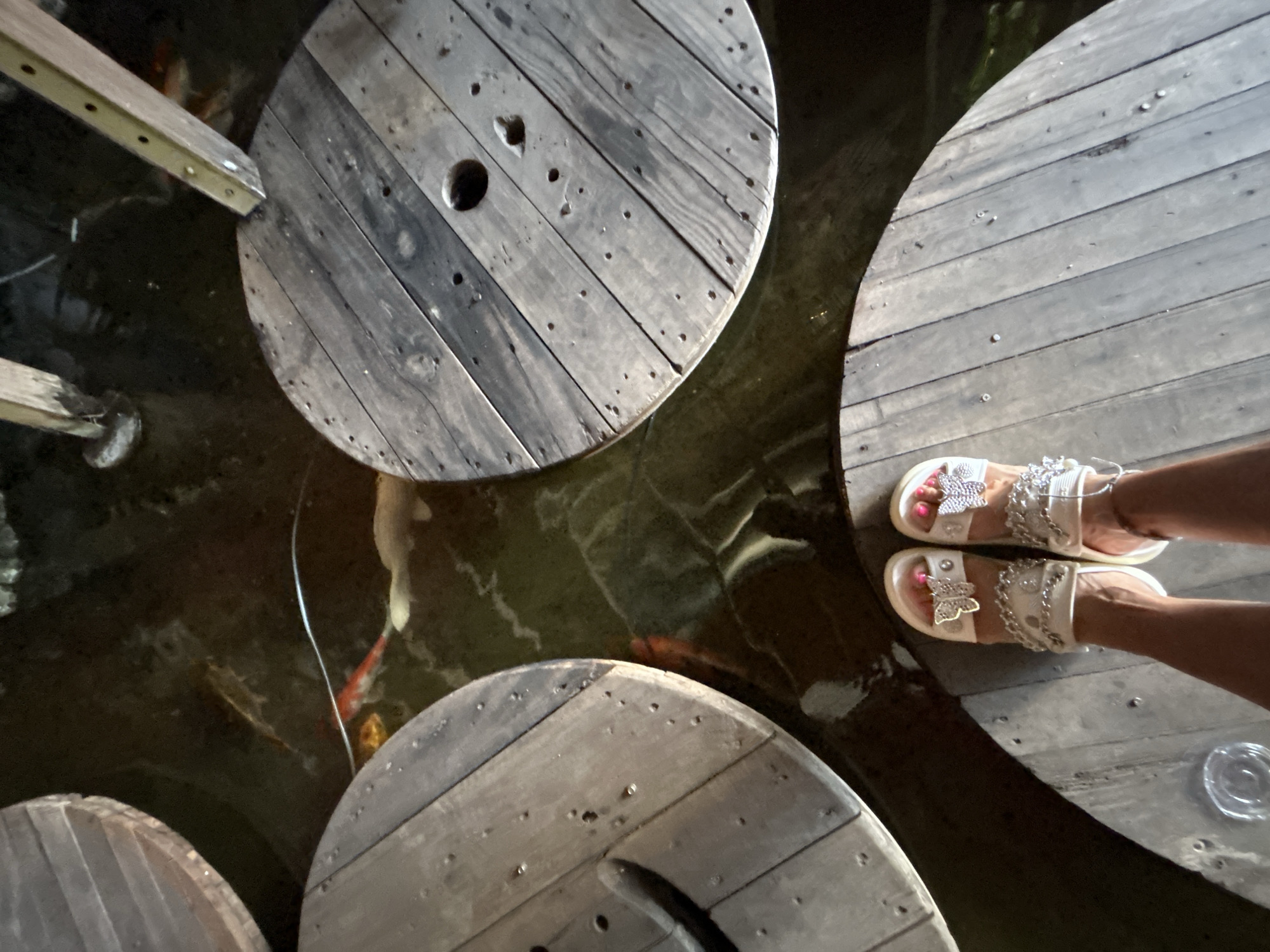 The image depicts an outdoor setting in Bắc Nha Trang, Vietnam, featuring wooden platforms above a pond containing koi fish. A person wearing white sandals with butterfly embellishments stands on one of the circular platforms. The platforms appear to be constructed from large wooden cable spools. The pond water is murky, with several visible koi fish. A portion of a wooden structure is visible in the upper left.