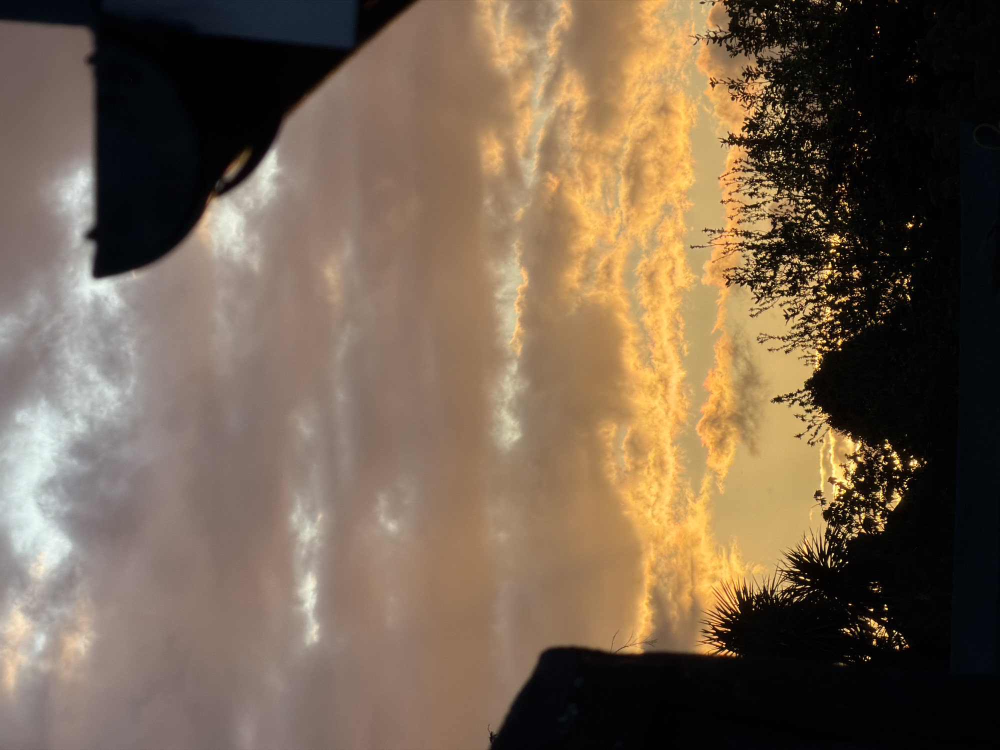 The image shows a sunset sky with clouds in shades of orange and pink. Silhouetted trees and vegetation are visible on the right and at the bottom. A dark, indistinct object is in the upper-left corner. There is no indication in the image that it is located in London, United Kingdom. There are no people, actions, or interactions depicted.