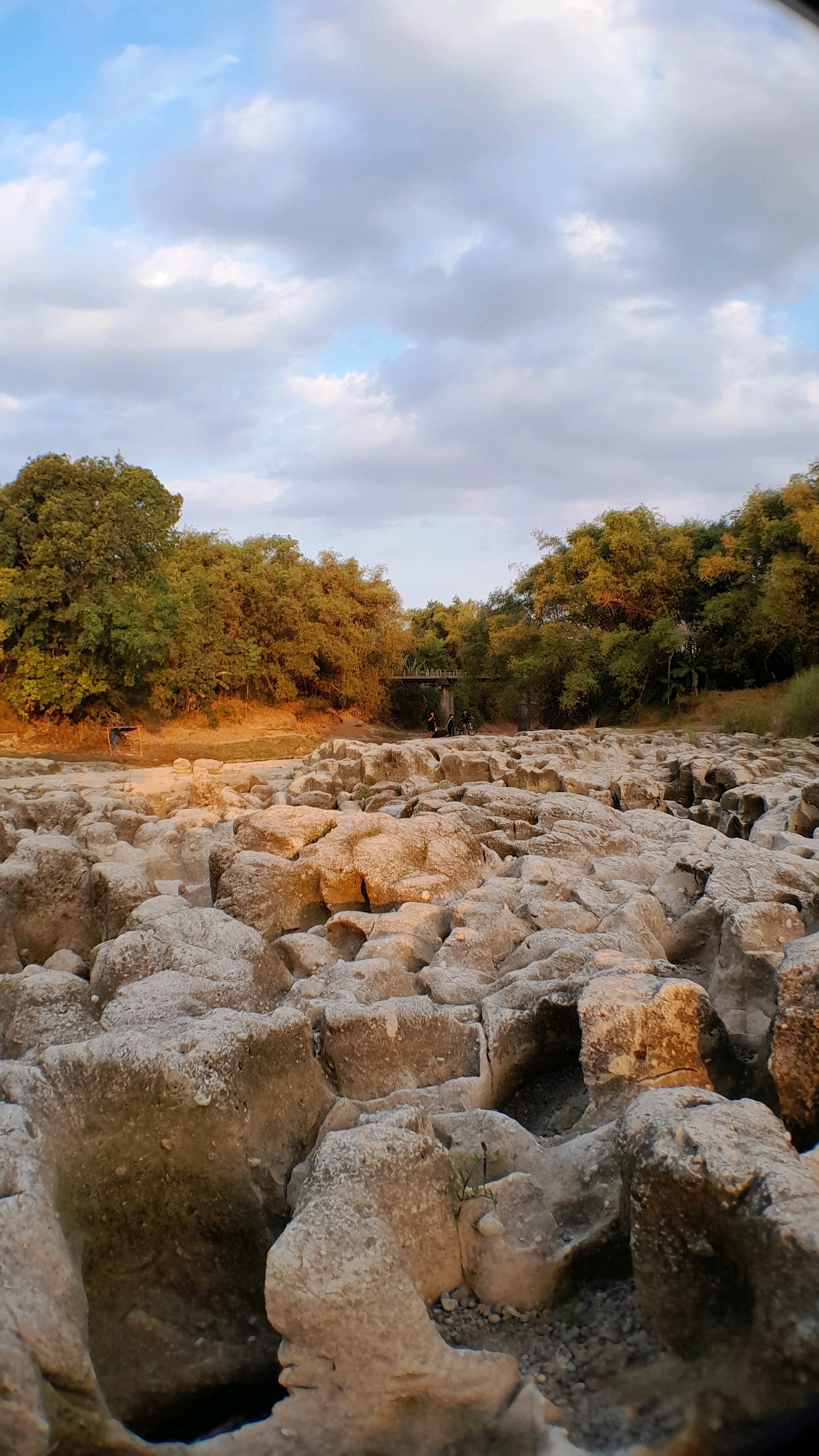 The image depicts a rocky riverbed in Nglungger, Indonesia, under a cloudy sky. The foreground is dominated by weathered, light-colored rocks, some with visible erosion marks and cavities. In the mid-ground, the riverbed continues, leading towards a line of lush green and golden trees that form the backdrop. A bridge is visible in the distance, spanning across the river. Several figures are present near the bridge, including at least two individuals standing and one person on a bicycle. The lighting suggests it is late afternoon or early evening, casting warm tones on the rocks and foliage. The environment appears dry, with minimal visible water in the riverbed.
