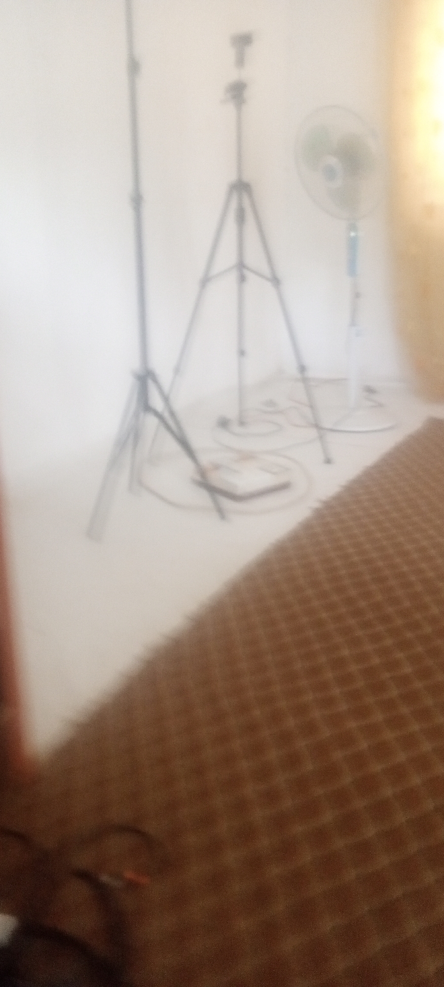 The image shows a room interior. There is a light stand and a tripod, along with a fan, visible against a white wall. Cables are on the floor, and the foreground is dominated by a brown rug.