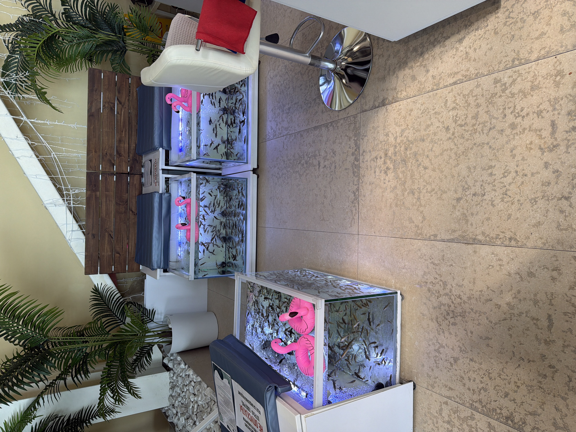 The image shows an indoor scene in what appears to be a fish spa or salon. Three glass tanks are stacked vertically, each filled with water and numerous small fish. Each tank contains at least one pink inflatable flamingo. The bottom tank is partially obscured by a padded bench with a printed sign attached. A white stool with a chrome base is positioned next to the tanks. A potted plant with palm-like leaves flanks the setup on one side. The flooring is a light brown, textured tile. The image's location in Moscow, Russia, can be inferred from the presence of Cyrillic text on the signs attached to the bench.