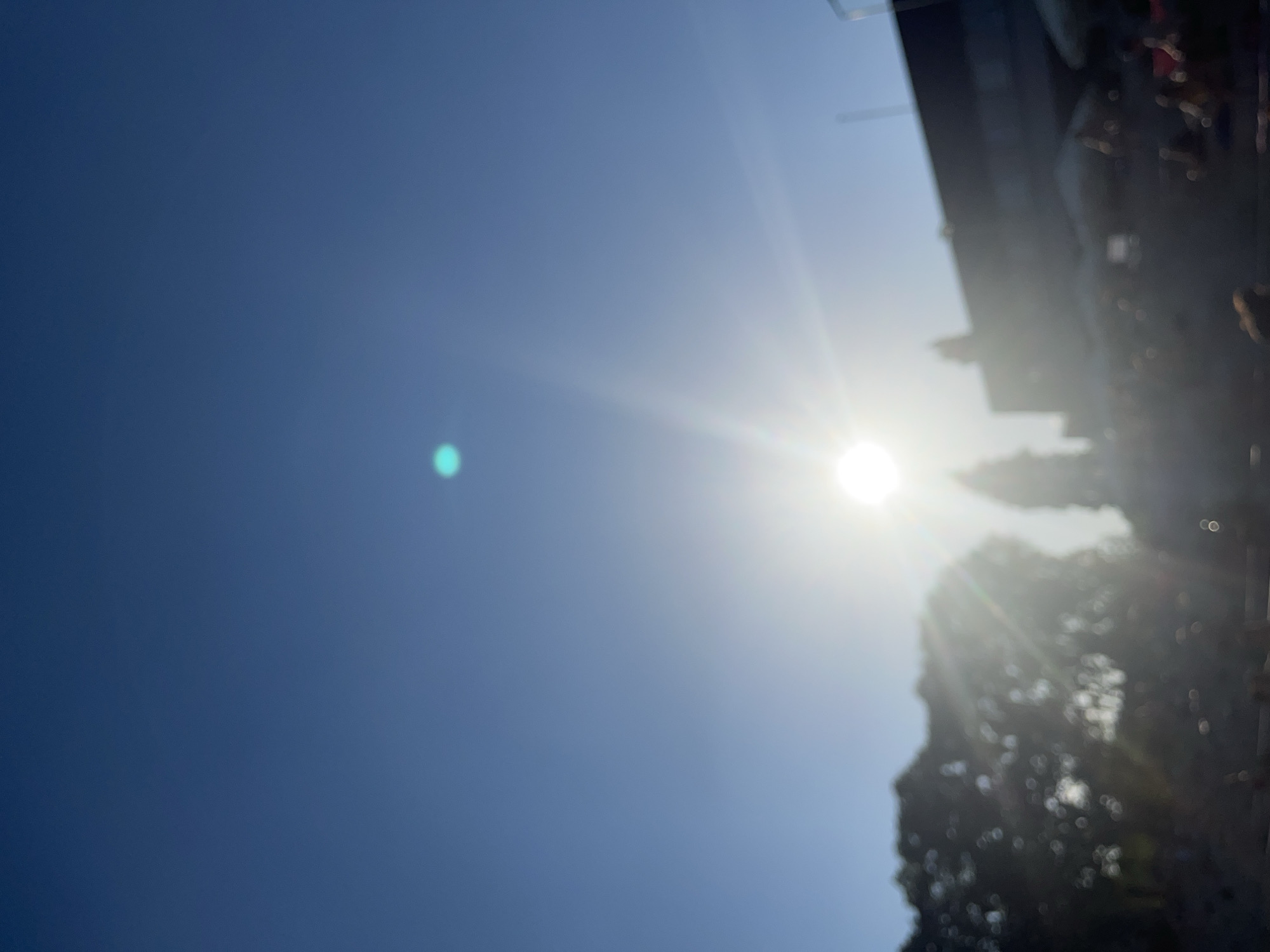 This is a vertical, outdoor, eye-level shot of the sun on a clear day. The sun is in the right half of the frame, with bright rays extending out from it. The sky is a deep blue, fading to a lighter blue near the horizon. The bottom right portion of the image is filled with out-of-focus trees and what appears to be the side of a building. There is a faint, greenish-blue lens flare in the upper left quadrant of the image. The lighting suggests it is daytime. There is no visible text.