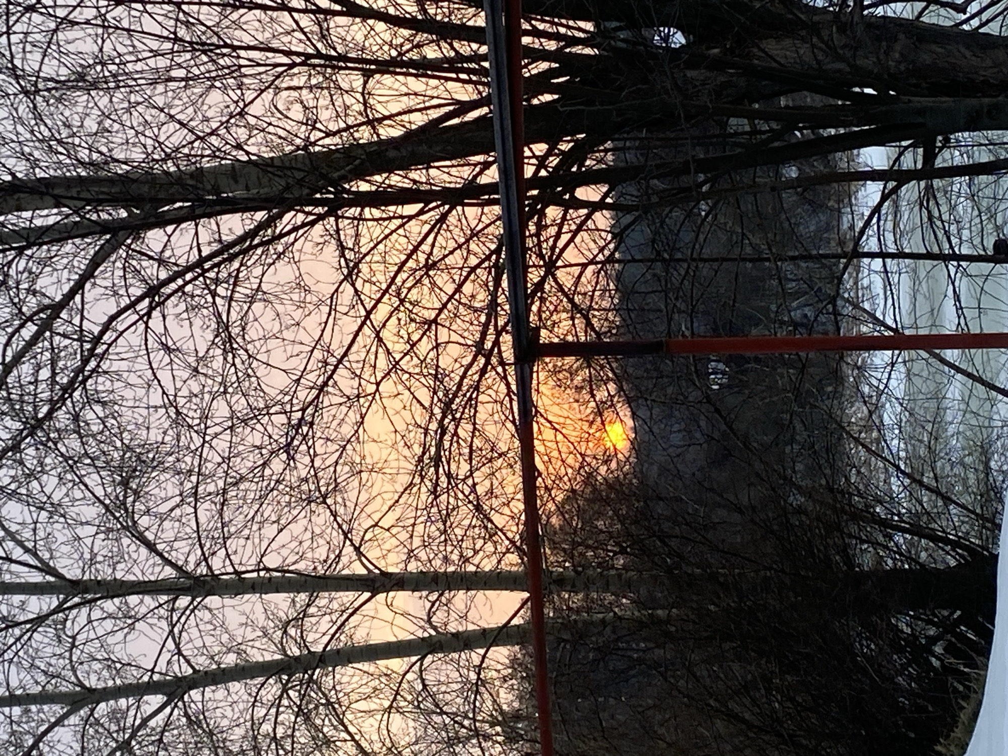 The image displays an outdoor winter scene at either sunrise or sunset in Chaikovsky, Russia. The sky, visible through a dense array of bare tree branches, is characterized by vibrant orange and pink hues near the horizon, transitioning to lighter shades of grey and pale blue overhead. A distinct, bright orange-yellow sun is partially visible, low on the horizon and slightly to the right of the image's center, obscured by the intricate network of leafless tree branches. Numerous deciduous trees, appearing bare, are silhouetted against the illuminated sky, showcasing their fine branch patterns. In the mid-ground, a red horizontal bar is positioned across the frame, supported by a vertical red post on the left side, appearing to be part of a metal structure. Below the tree line and the red bar, a large body of water, likely a river or reservoir, is visible, covered by a layer of snow and ice. The foreground on the lower left consists of snow-covered ground. There are no individuals, active subjects, or specific interactions depicted within the scene.