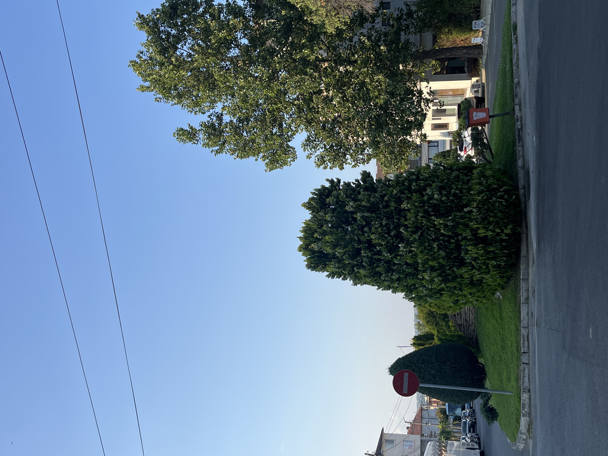 The image depicts an outdoor scene in Obzor, Bulgaria, likely during the daytime under clear skies. The perspective is angled, making it appear as if the viewer is looking upwards and slightly to the right.
Dominating the upper left of the frame are several power lines stretching across a bright blue sky. To the right, a large, leafy green tree with a thick trunk is visible, with its branches reaching towards the top of the image. In the middle ground, a dense, dark green bush or hedge forms a significant visual element. Behind this hedge, a stone wall can be seen.
Further to the right and slightly lower in the frame, there is a street with parked vehicles. A paved road runs along the right edge of the image, bordered by a curb and a strip of grass. A red and white circular traffic sign, indicating "no entry" or a similar prohibition, is mounted on a pole in the grassy area. In the background, buildings with light-colored facades and windows are visible, suggesting a residential or commercial area. The overall impression is one of a quiet, possibly suburban, street scene with abundant greenery. The time of day appears to be late afternoon or early evening, given the angle of the light. There is no visible text in the image.